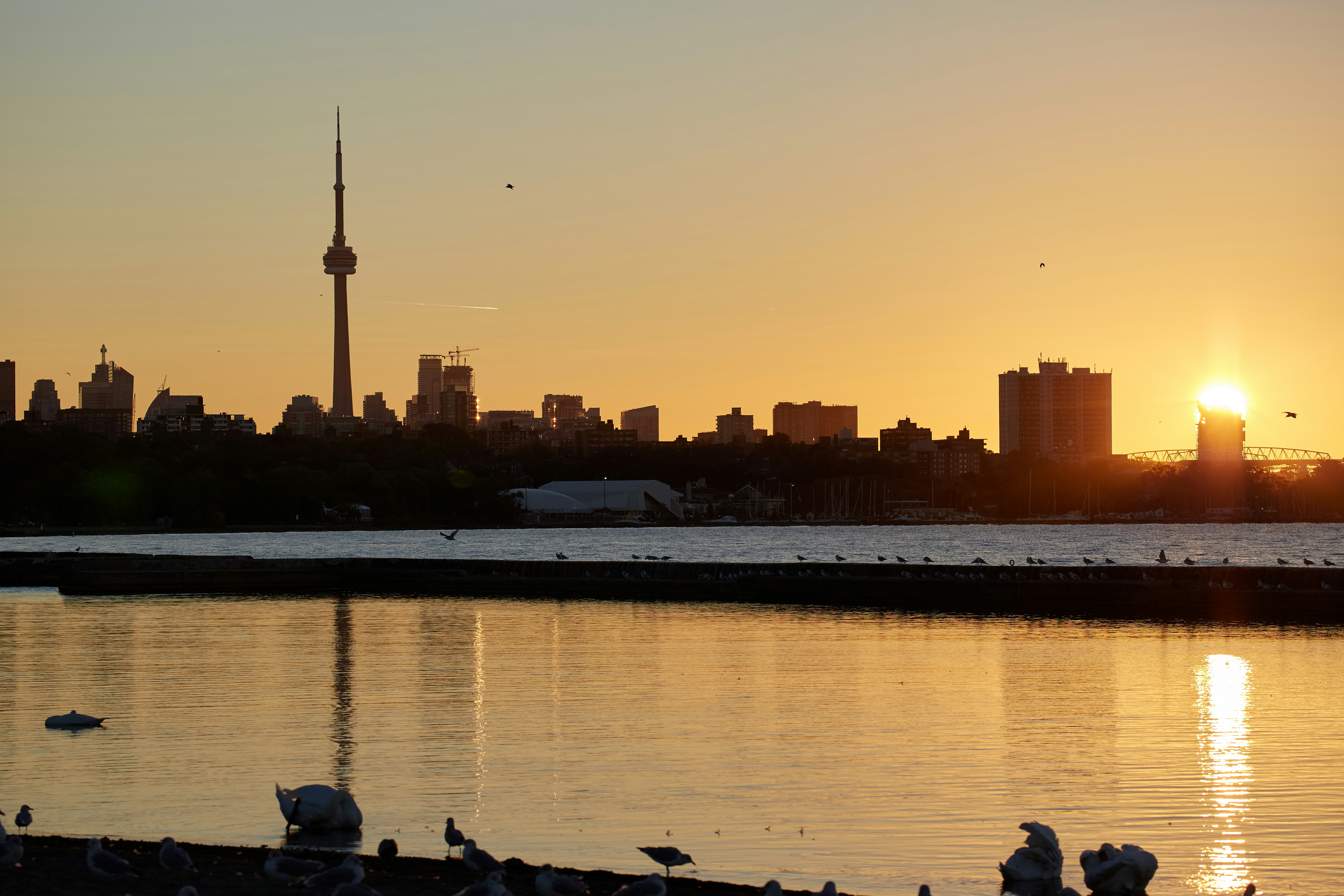 Containers in Early, TX