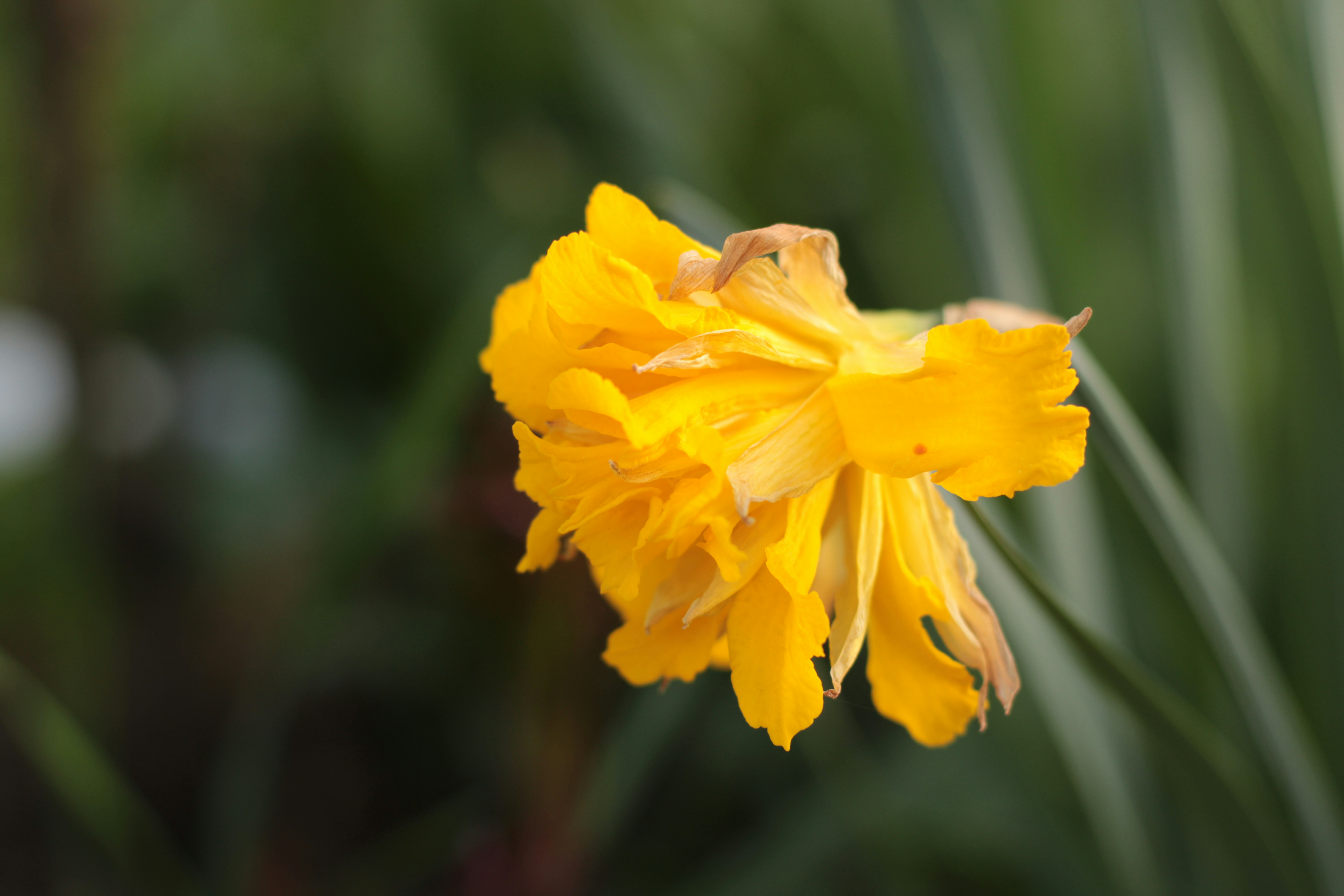 Photo by thorai9akira