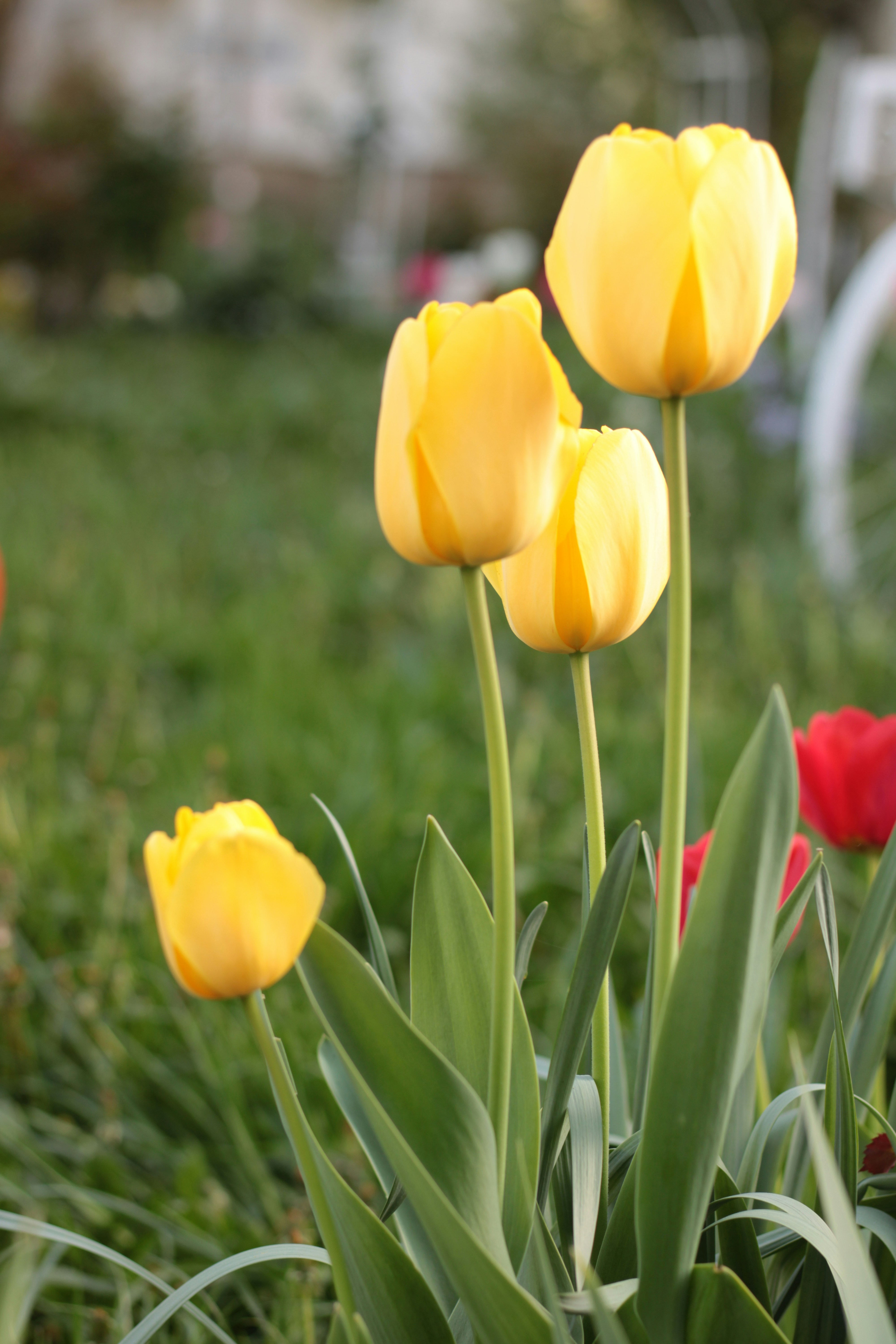 Photo by thorai9akira