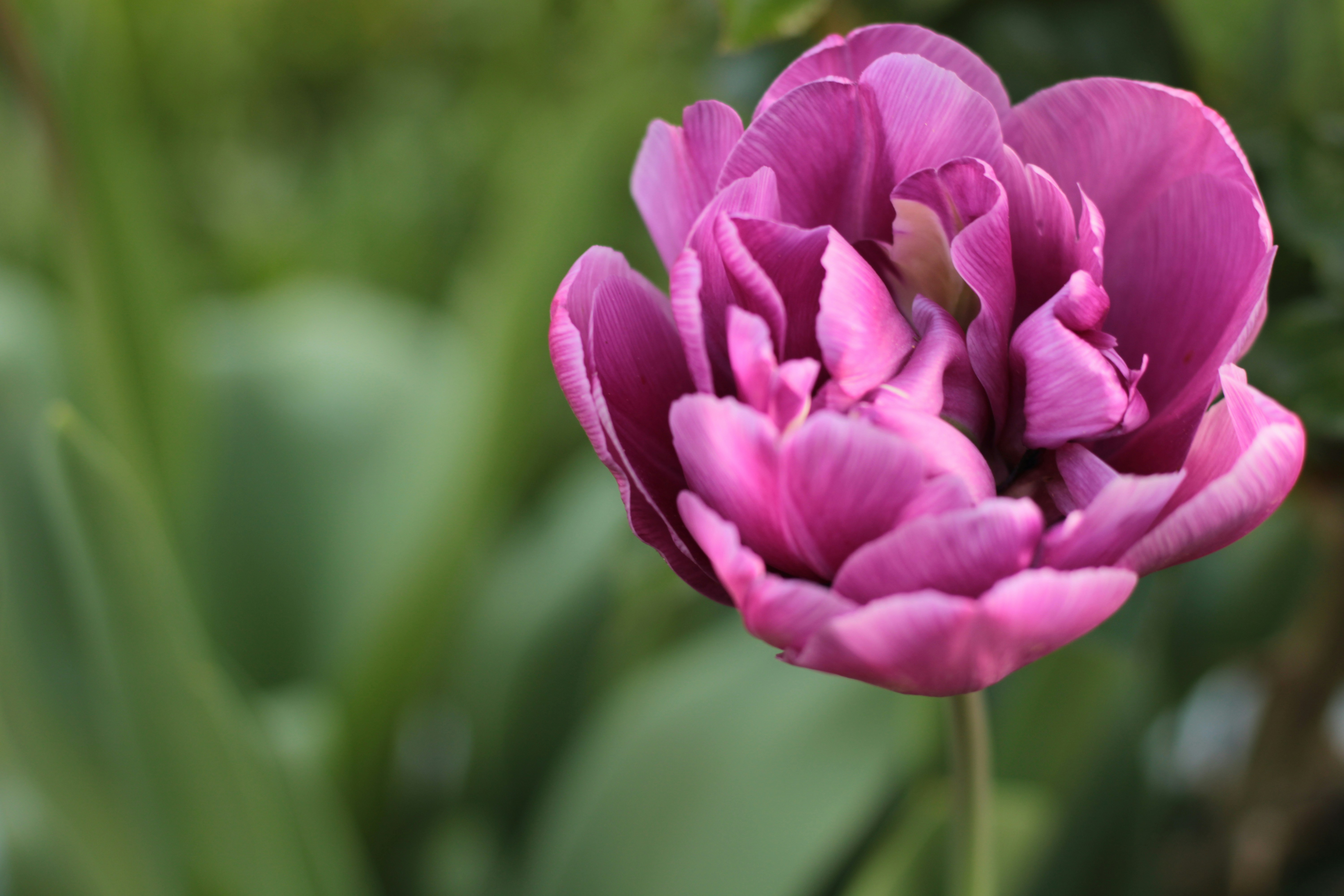 Photo by thorai9akira