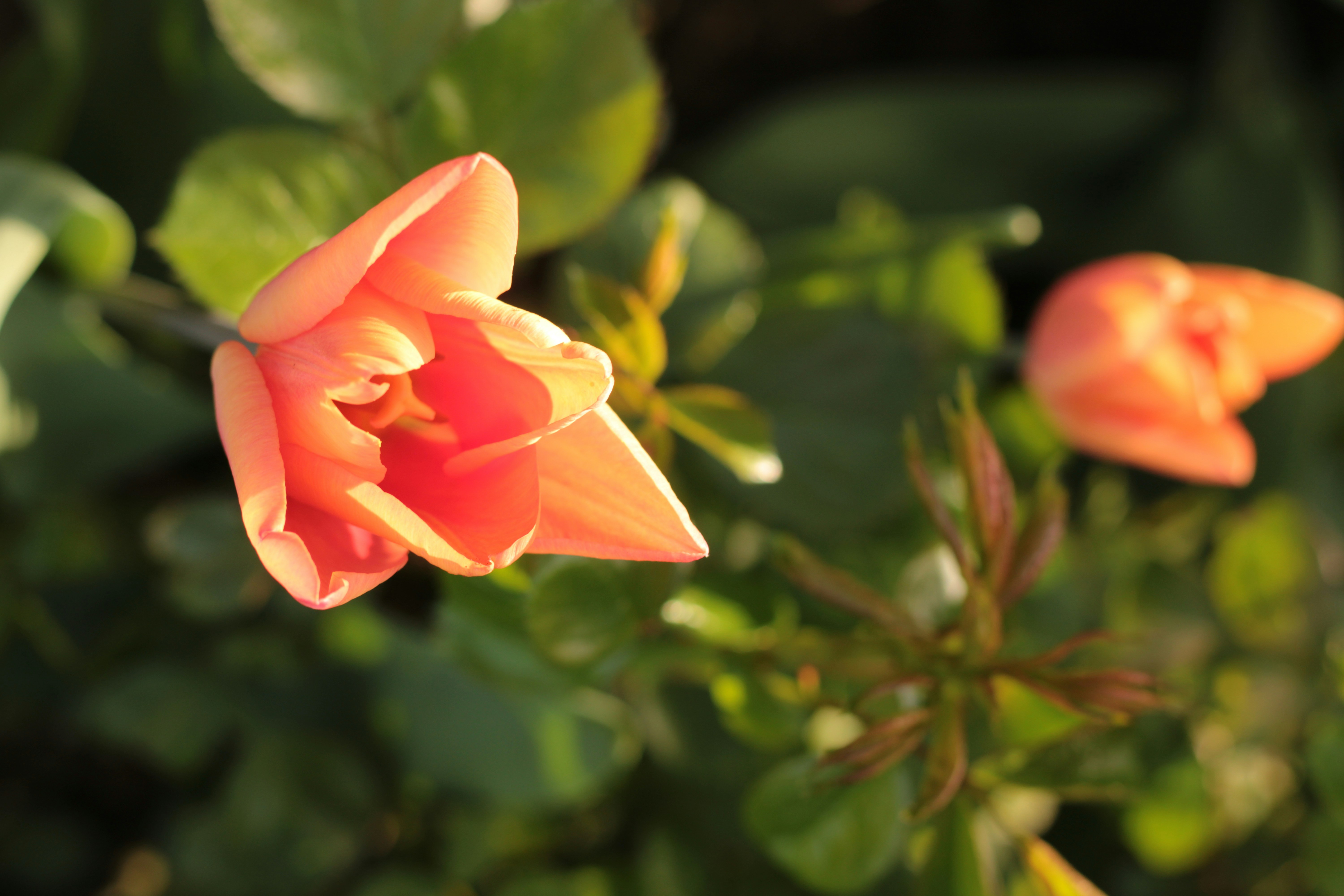 Photo by thorai9akira