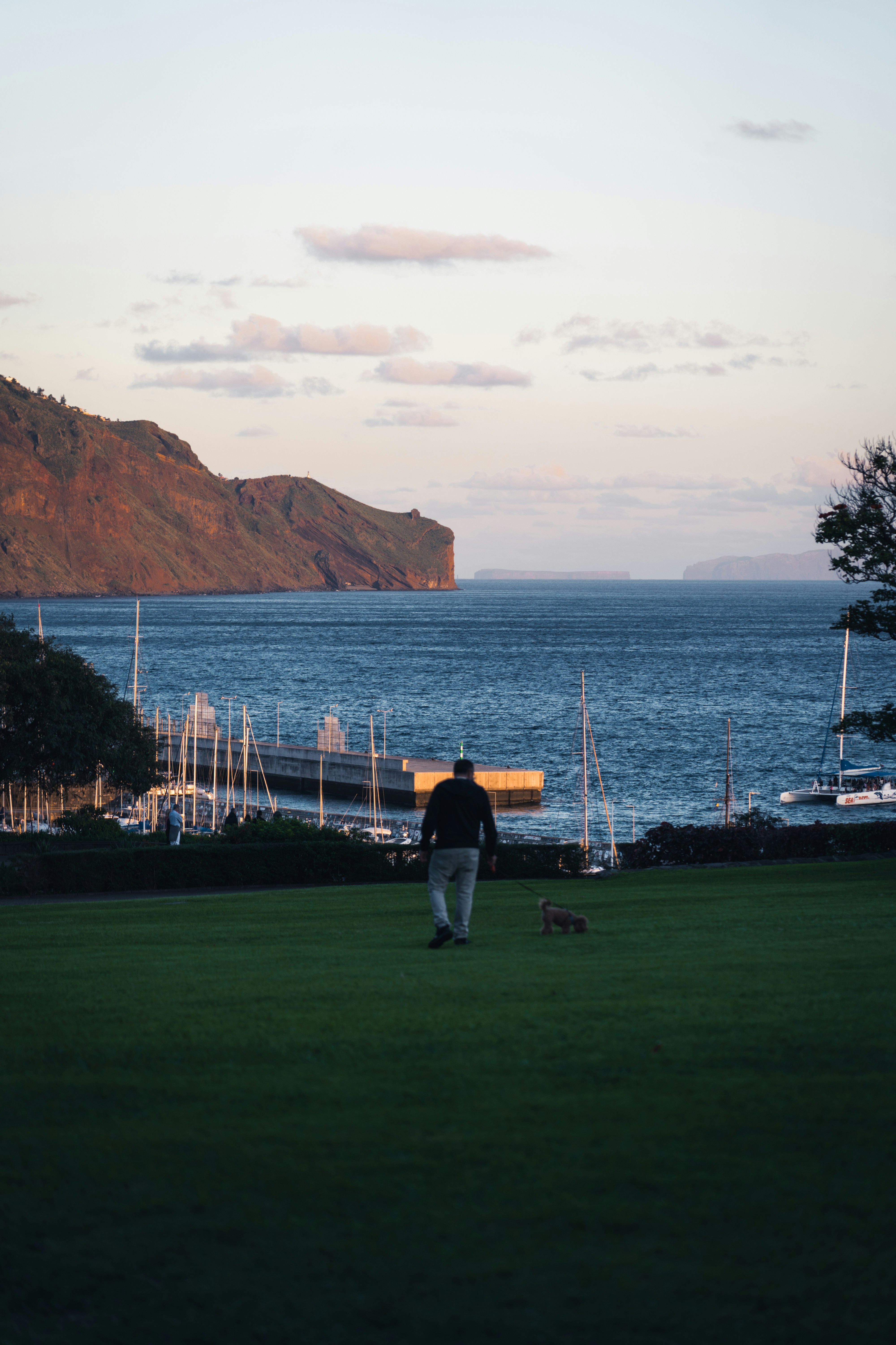 a man walking across a lush green field next to the ocean
