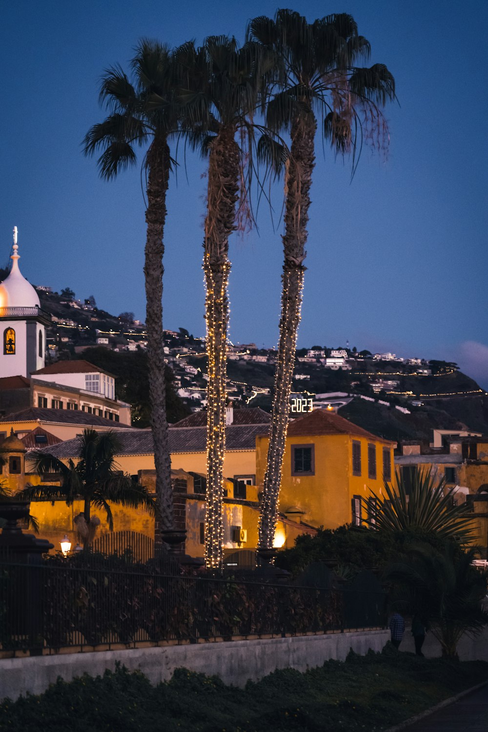 palm trees in front of a building with a steeple in the background