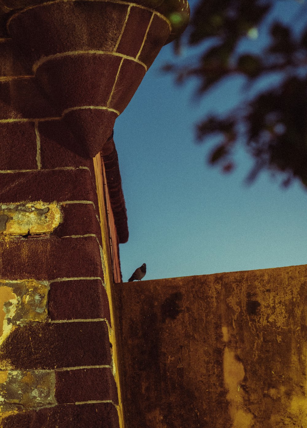 a bird is perched on a brick wall