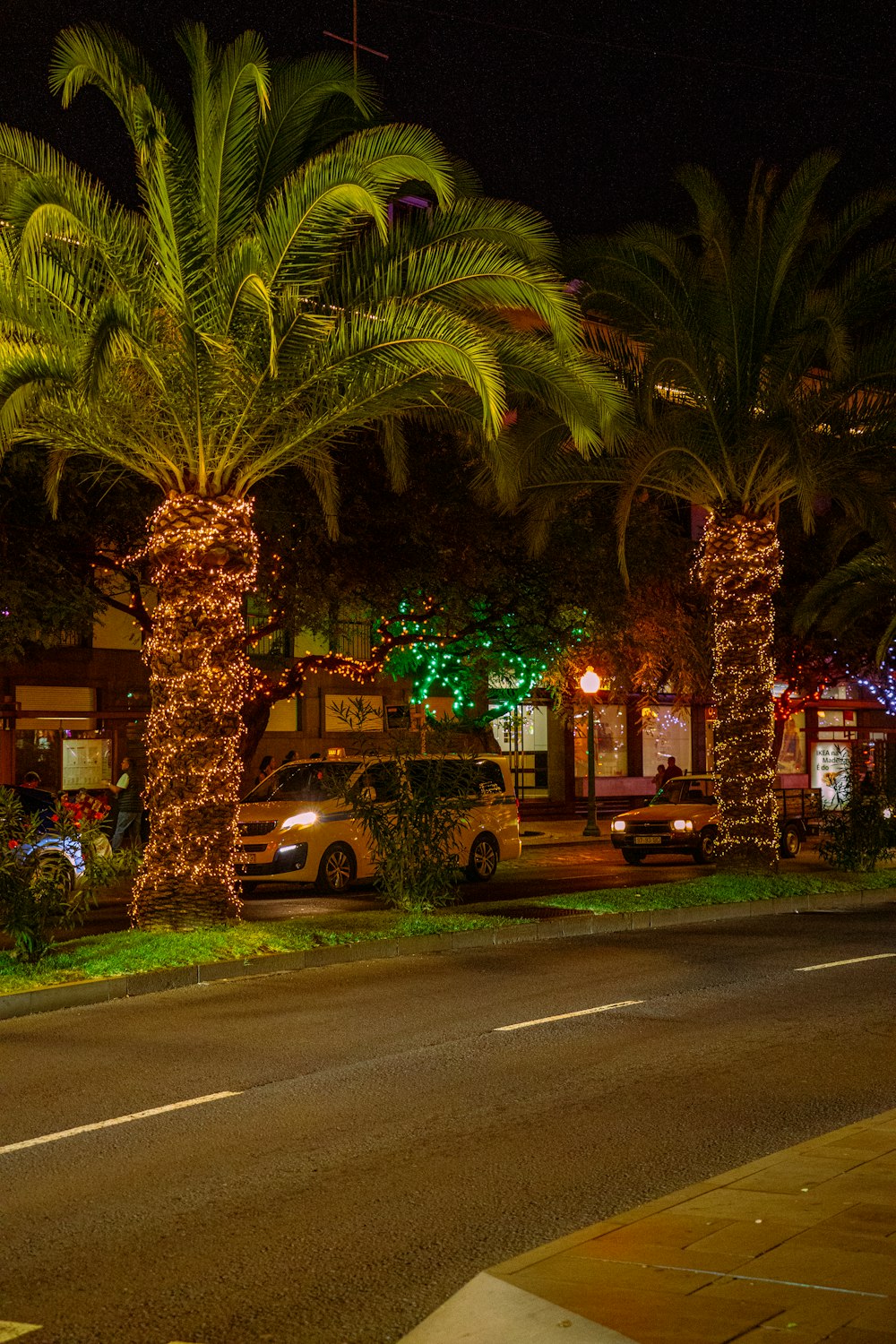 a street with palm trees lit up at night