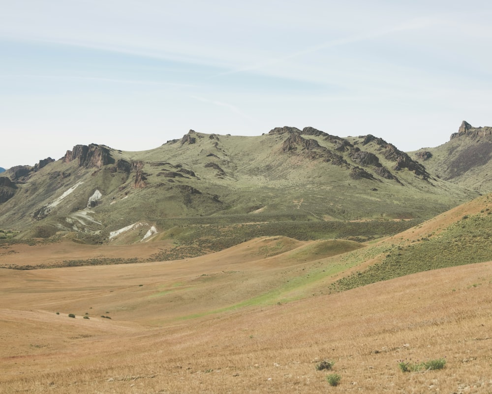 a grassy field with mountains in the background