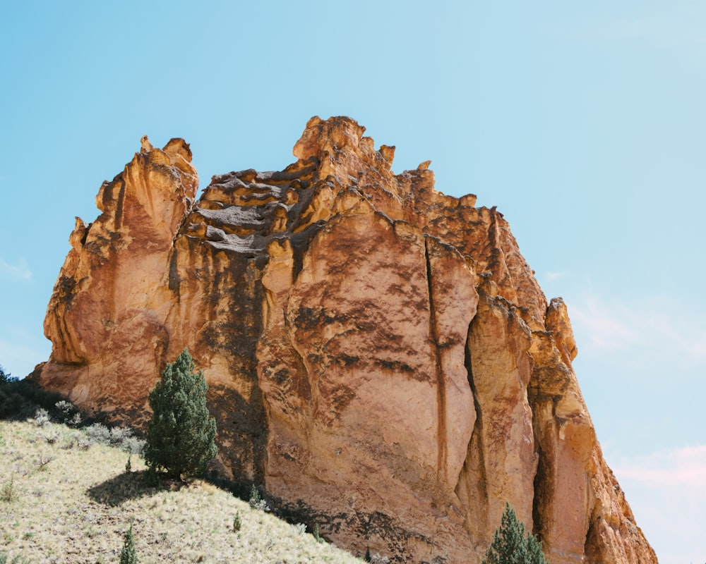 a large rock formation with trees on the side of it