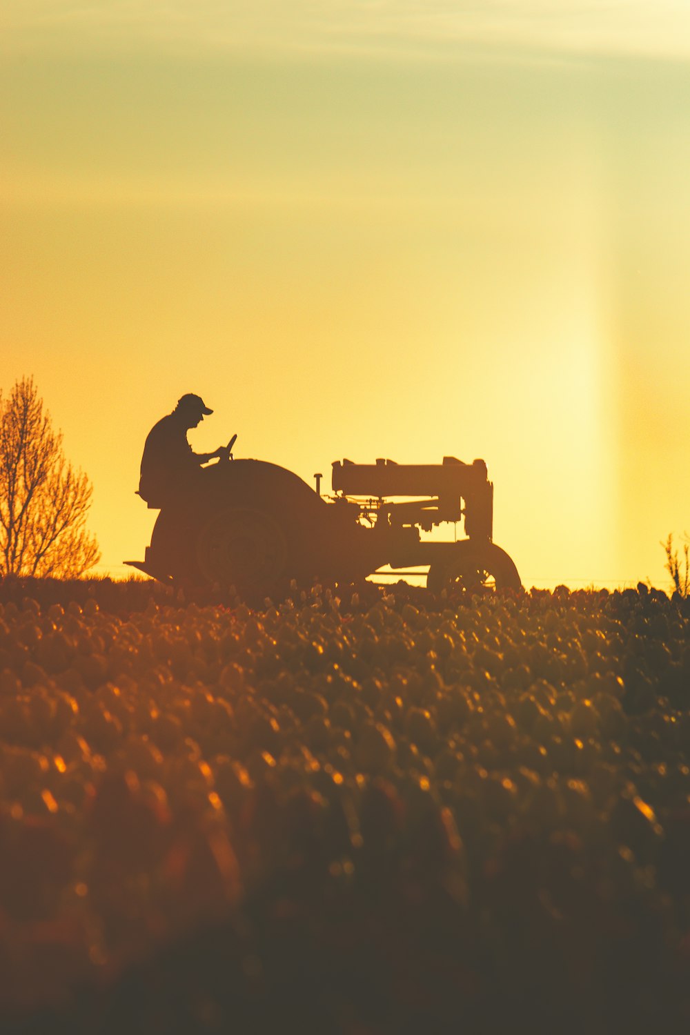 a person riding a tractor in a field at sunset