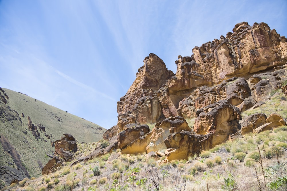 a rocky mountain side with grass and bushes