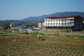 a man is plowing a field in front of a building
