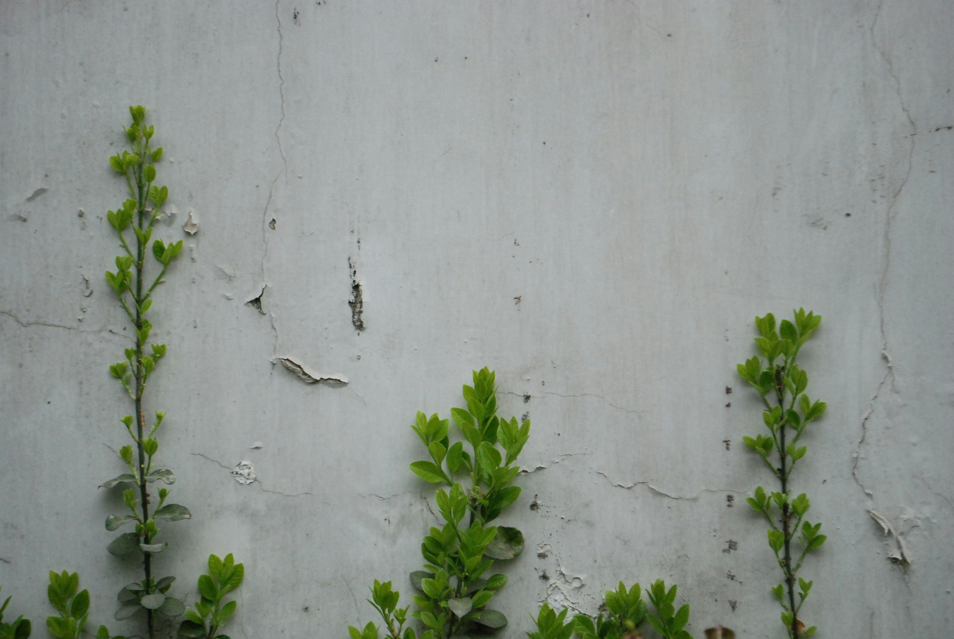 boho patio wallpaper, wallpaper, Eclectic Outdoor Patio: Design Ideas for Small Spaces 6