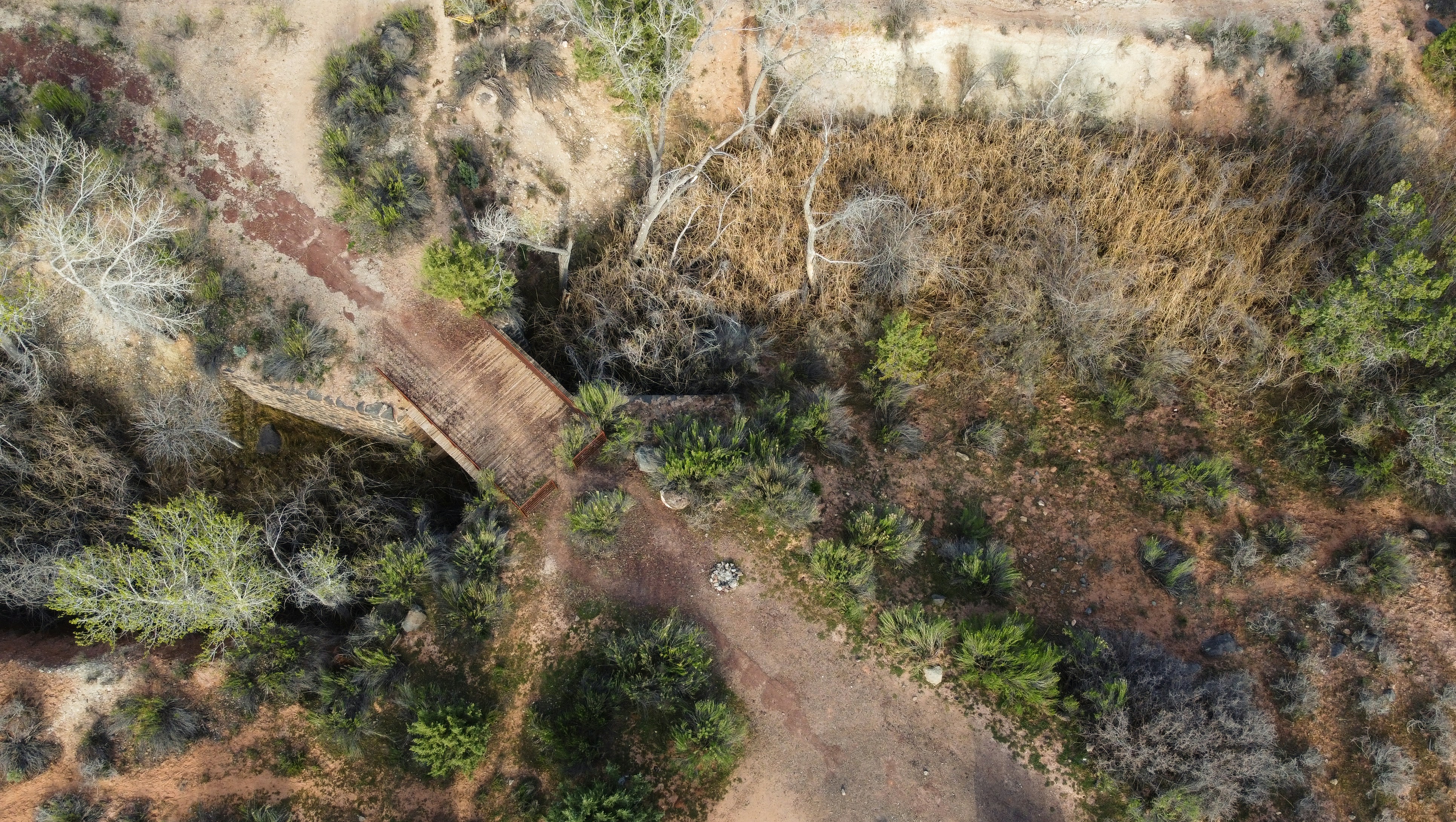 an aerial view of a dirt road in the woods