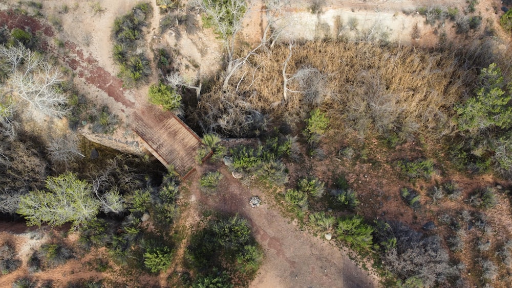 an aerial view of a dirt road in the woods