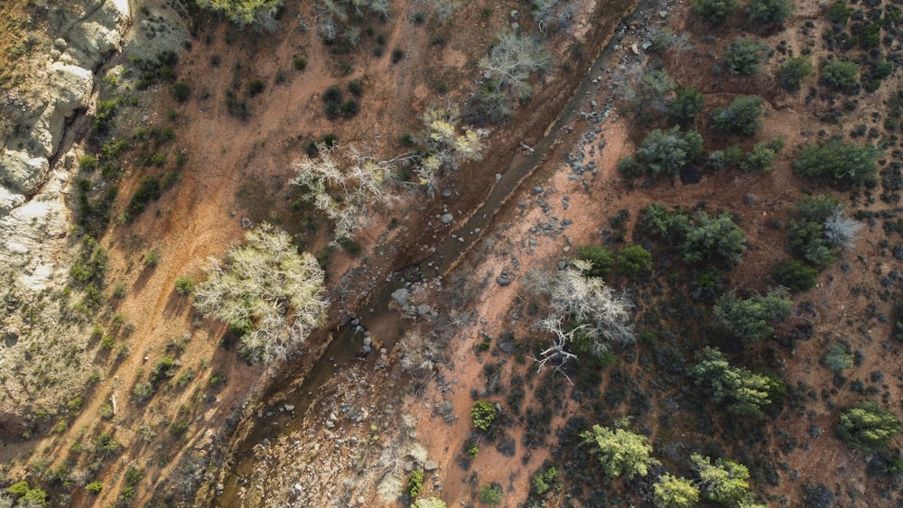 an aerial view of a dirt road surrounded by trees