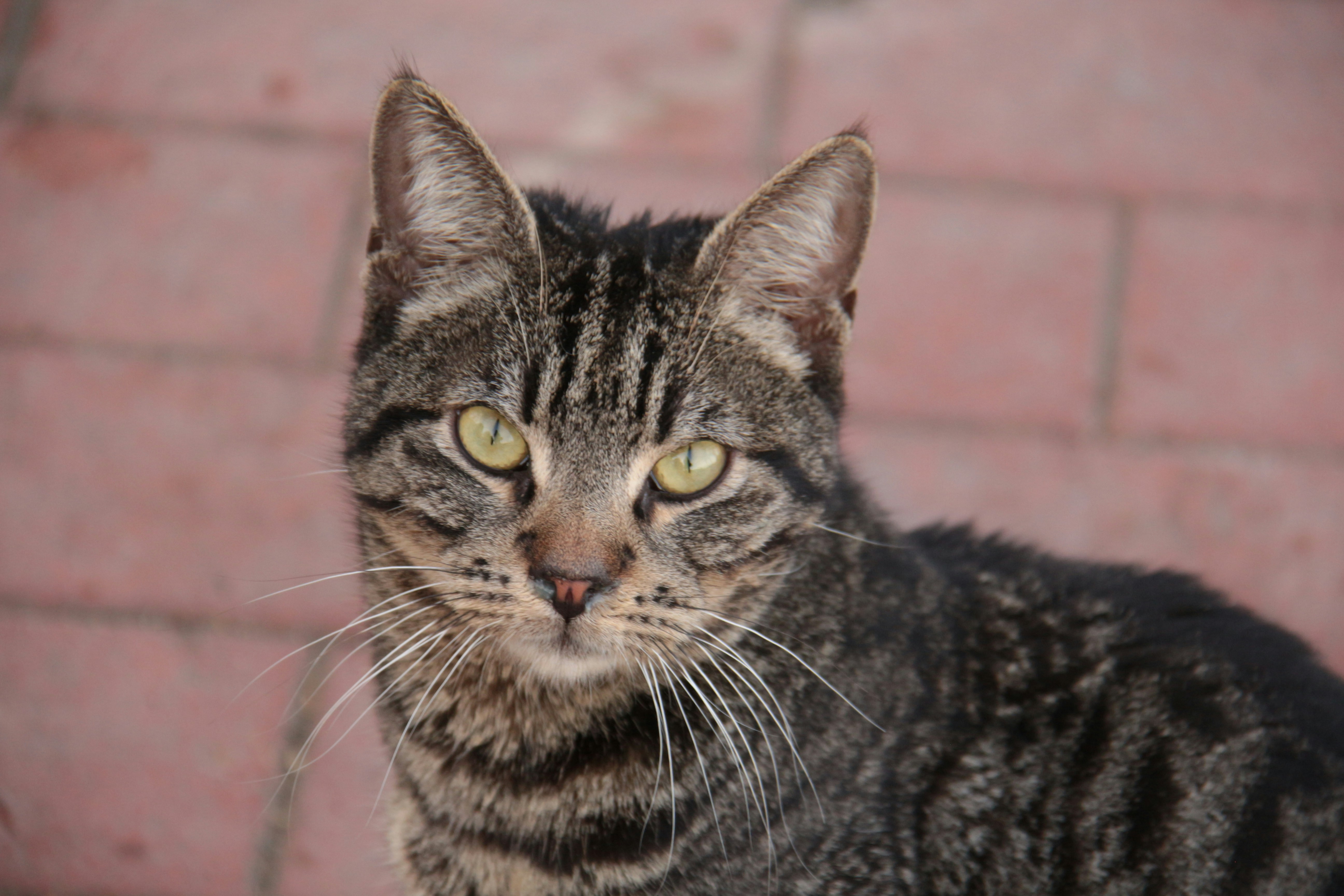 Photo by defneheybeli