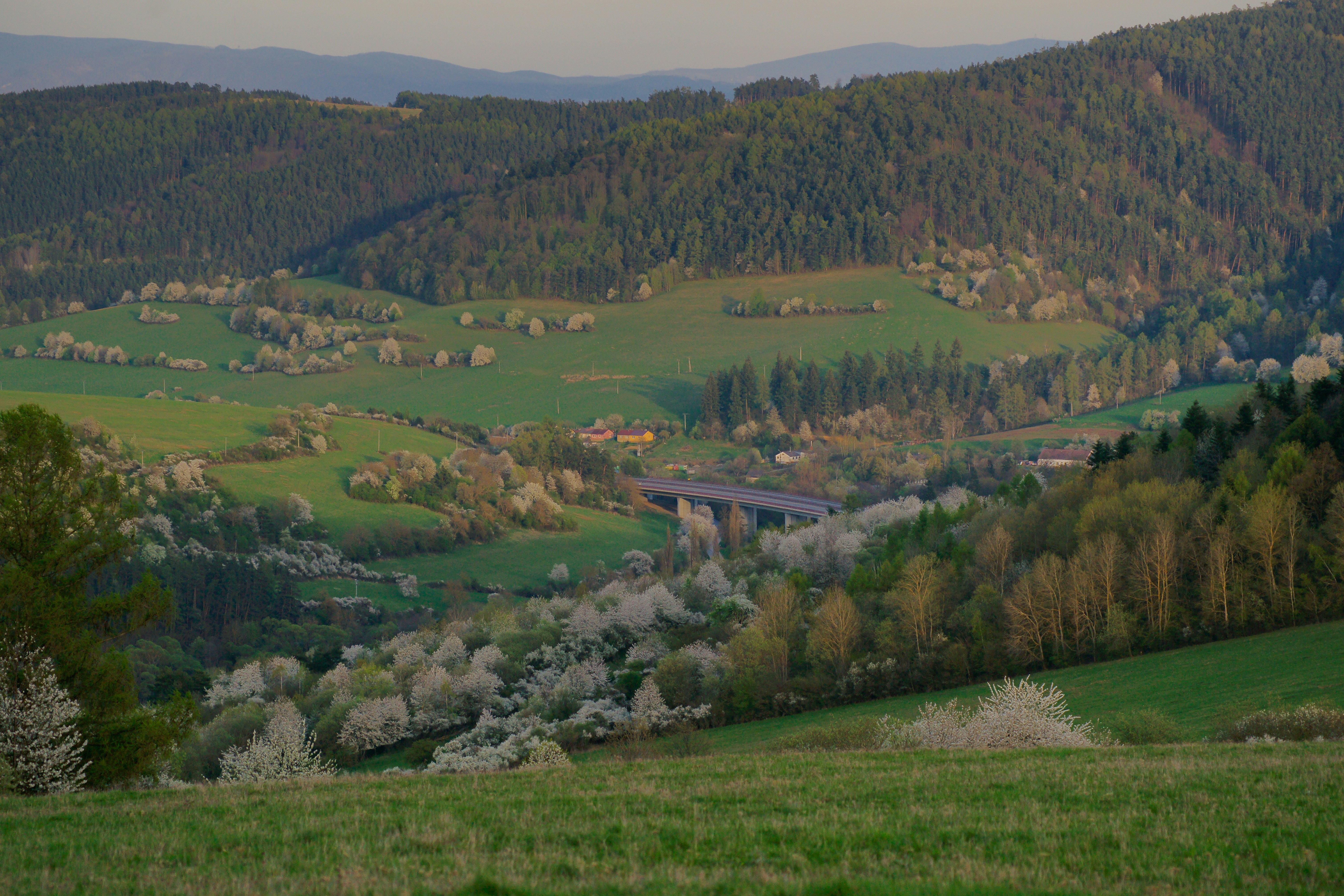 Slovakia EES April 10, 2026 Update: Why biometric entry is now mandatory for US/UK citizens.