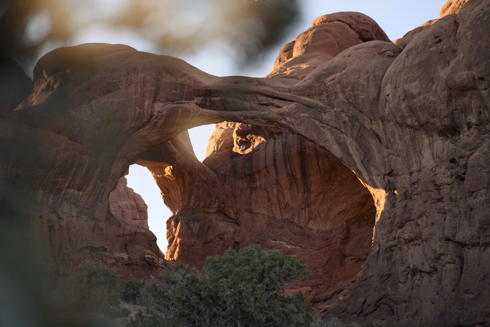 a large rock formation with a tree in the foreground