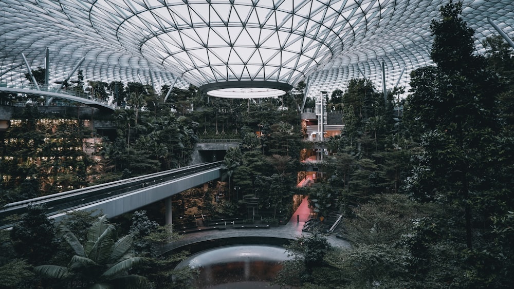 a view of a building with a glass roof