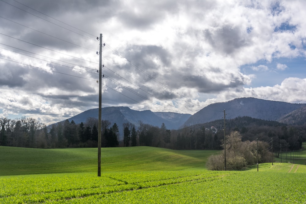 a field with a telephone pole in the middle of it