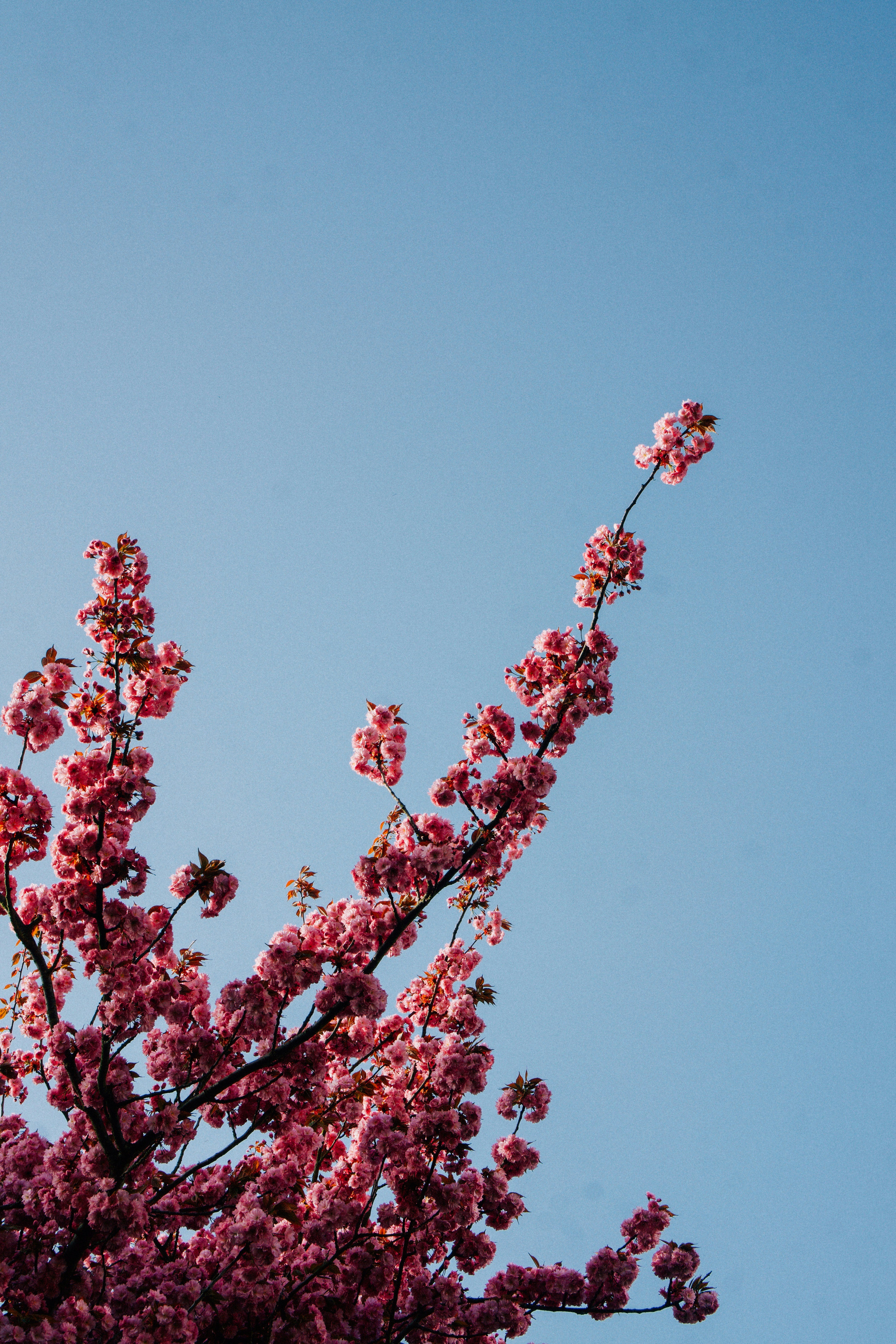 Photo by christianlue