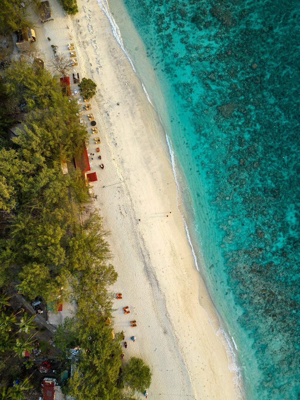 an aerial view of a sandy beach and clear blue water