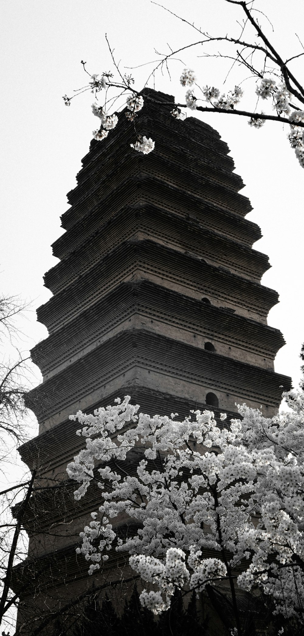 a tall tower sitting next to a tree with white flowers