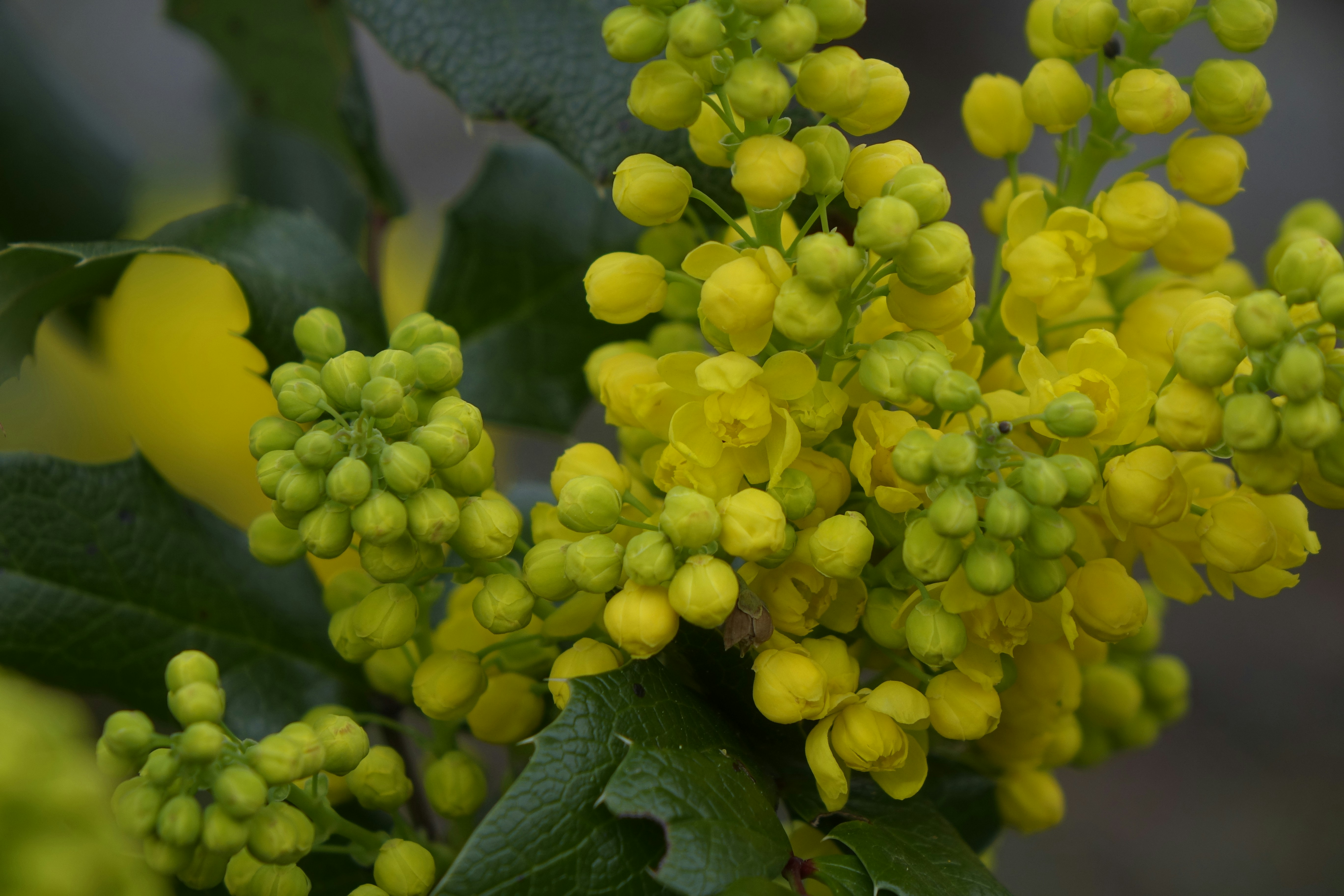 Photo by radfotosonn