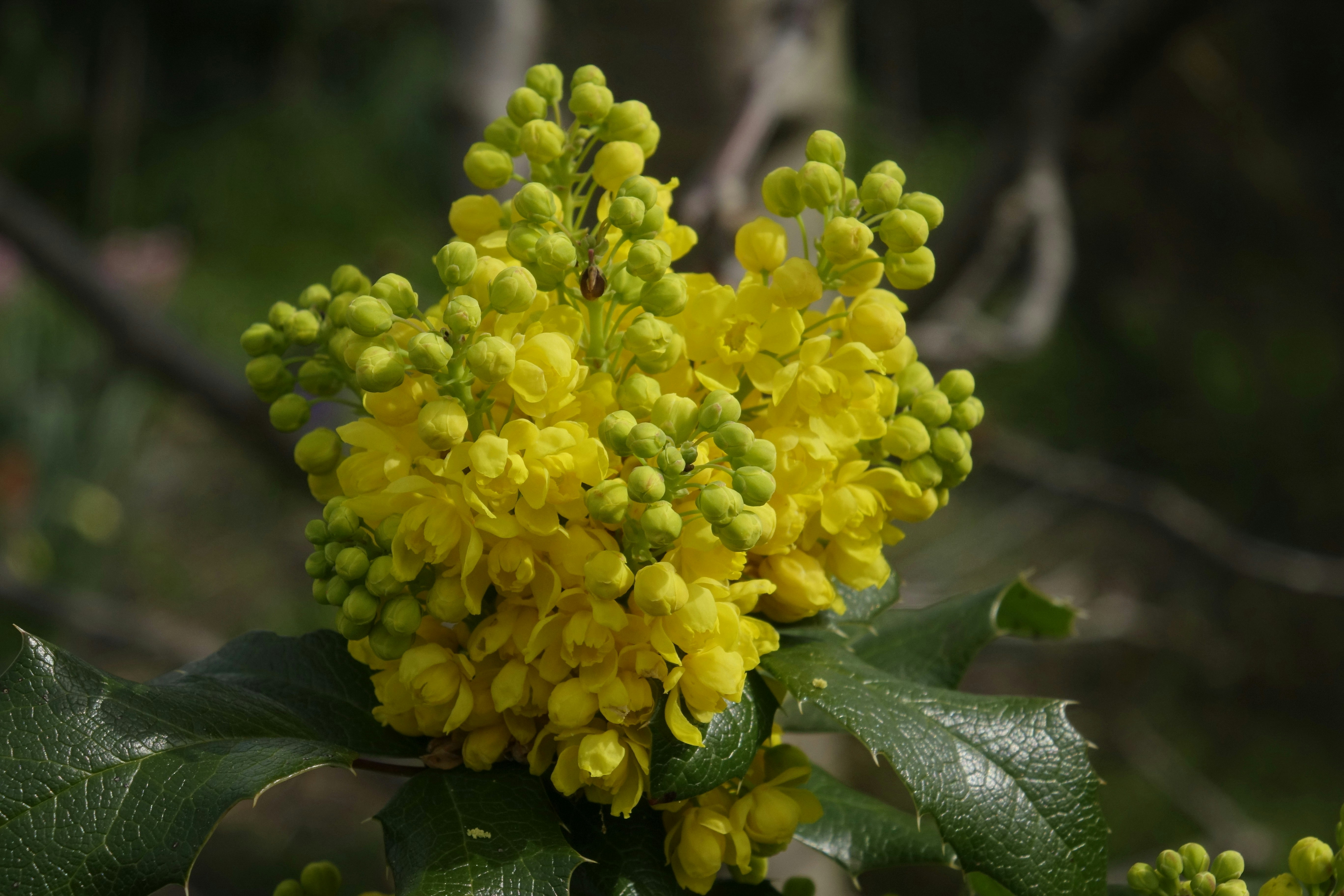 Photo by radfotosonn