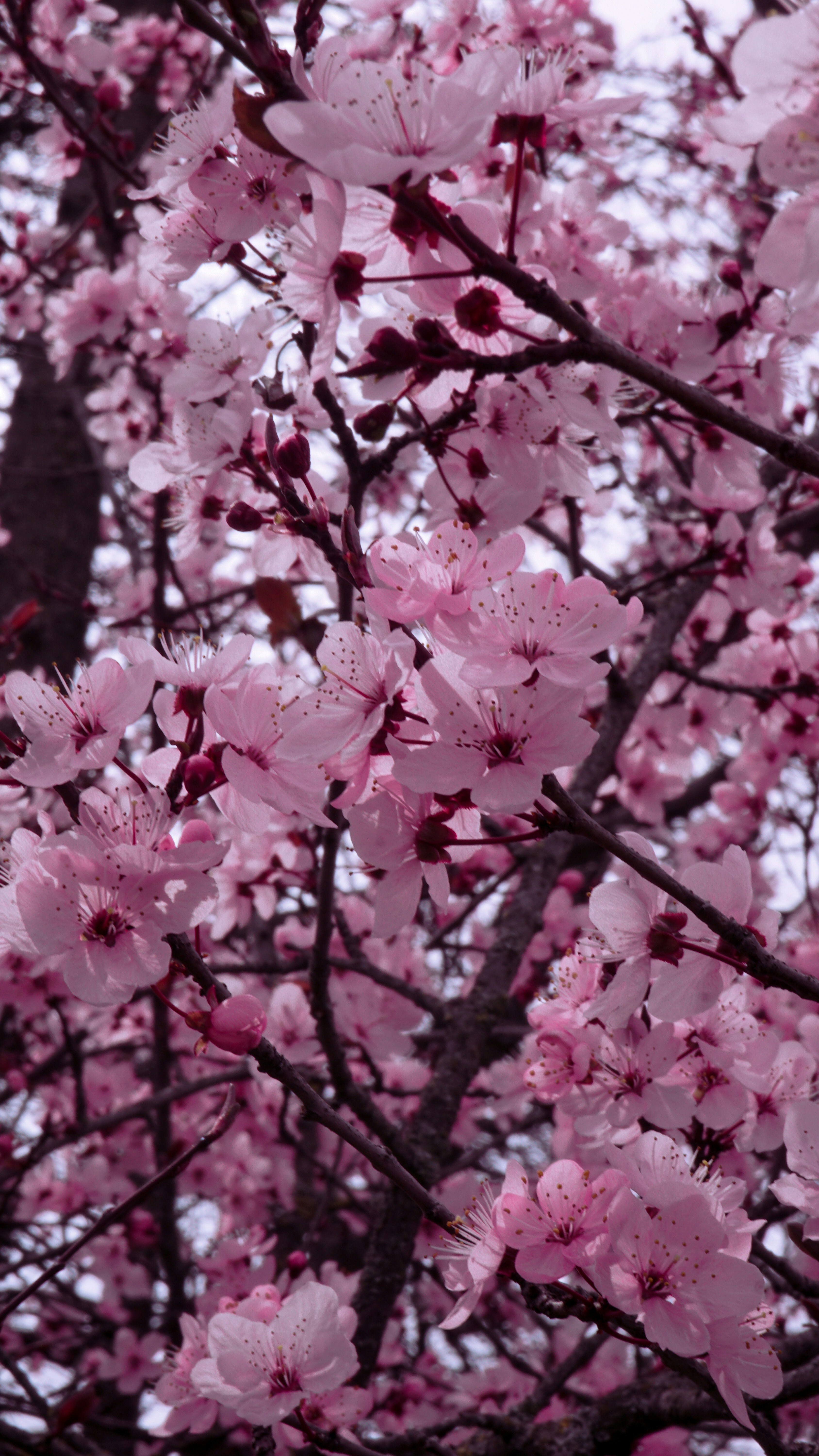 Photo by naturaverse