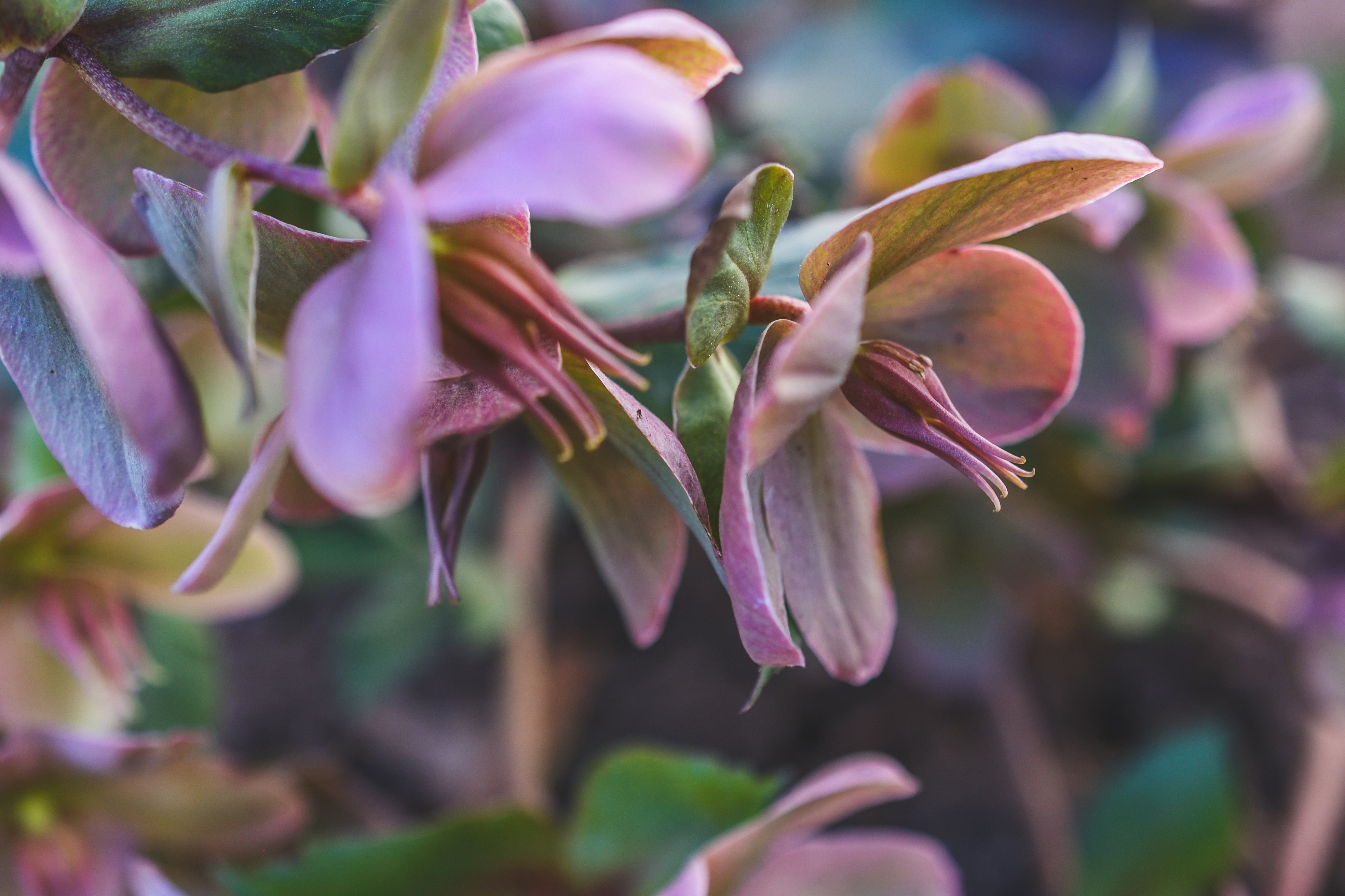 Photo by haleyparson