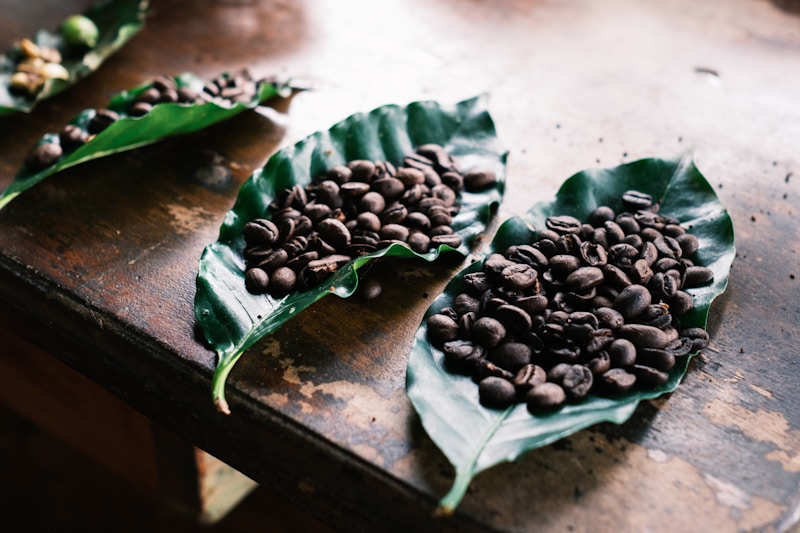 Café torréfié localement dans une plantation à La Fortuna Costa Rica