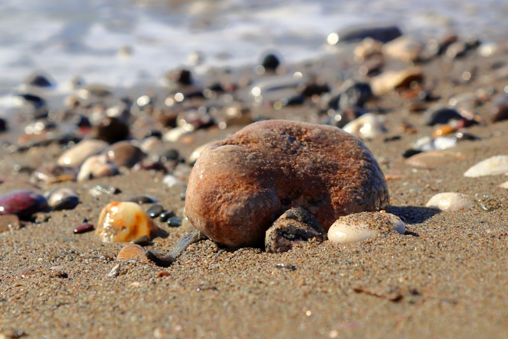 a close up of a rock on a beach