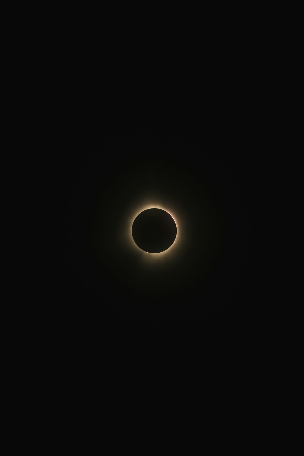 Un'eclissi solare si vede nel cielo scuro