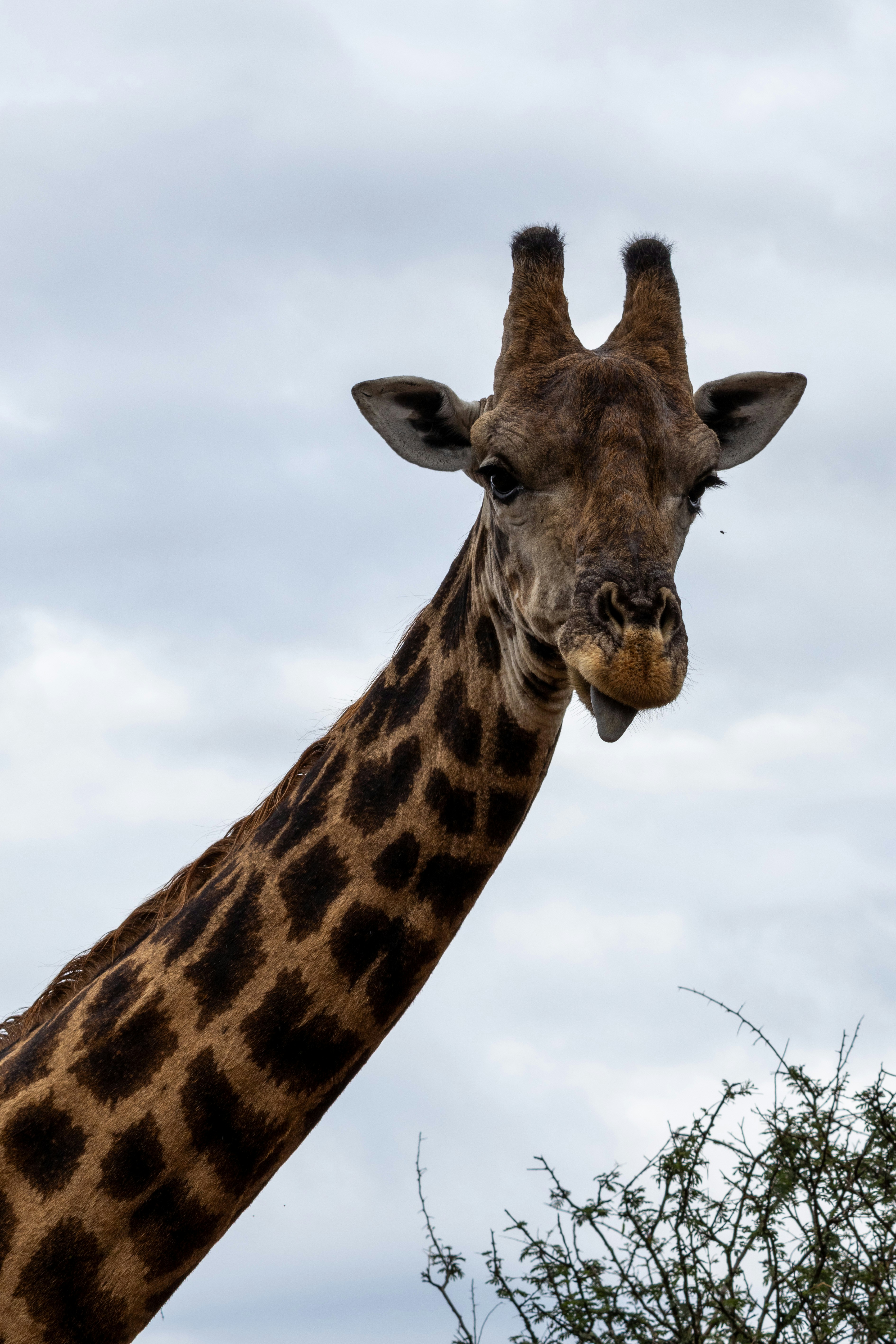 Photo by hendrikprinsza