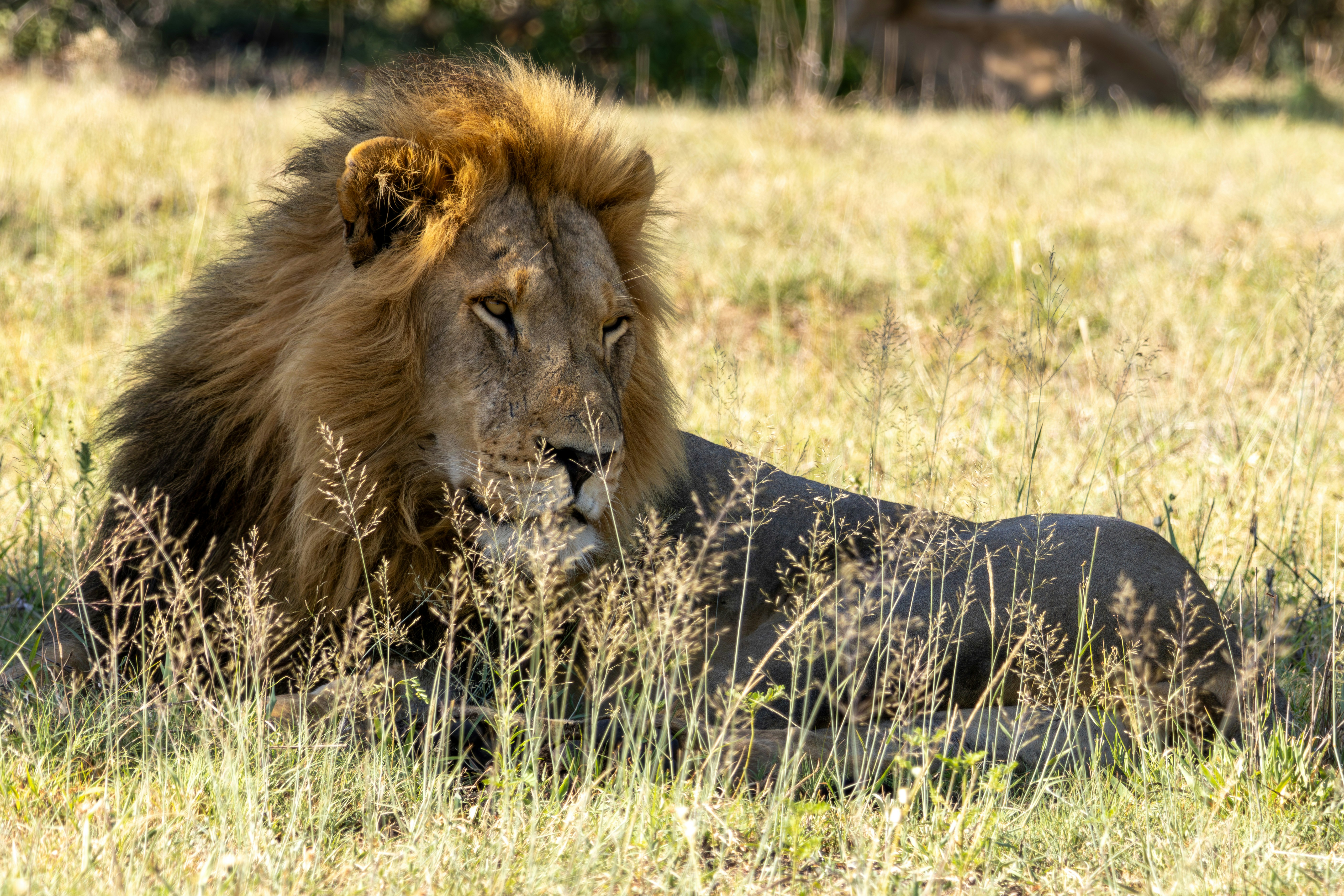 Photo by hendrikprinsza