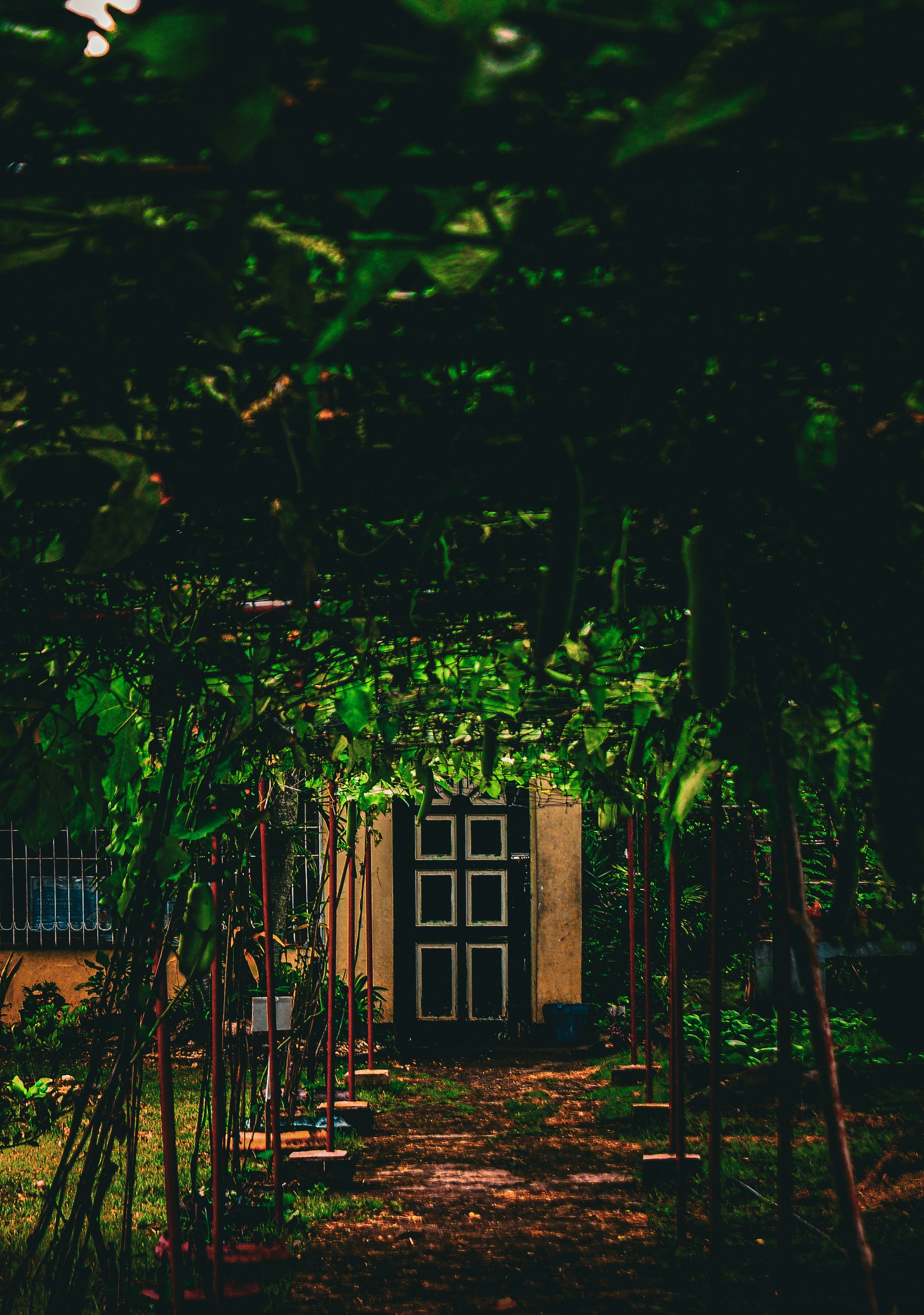 Photo by donoctavio_langsakalam04