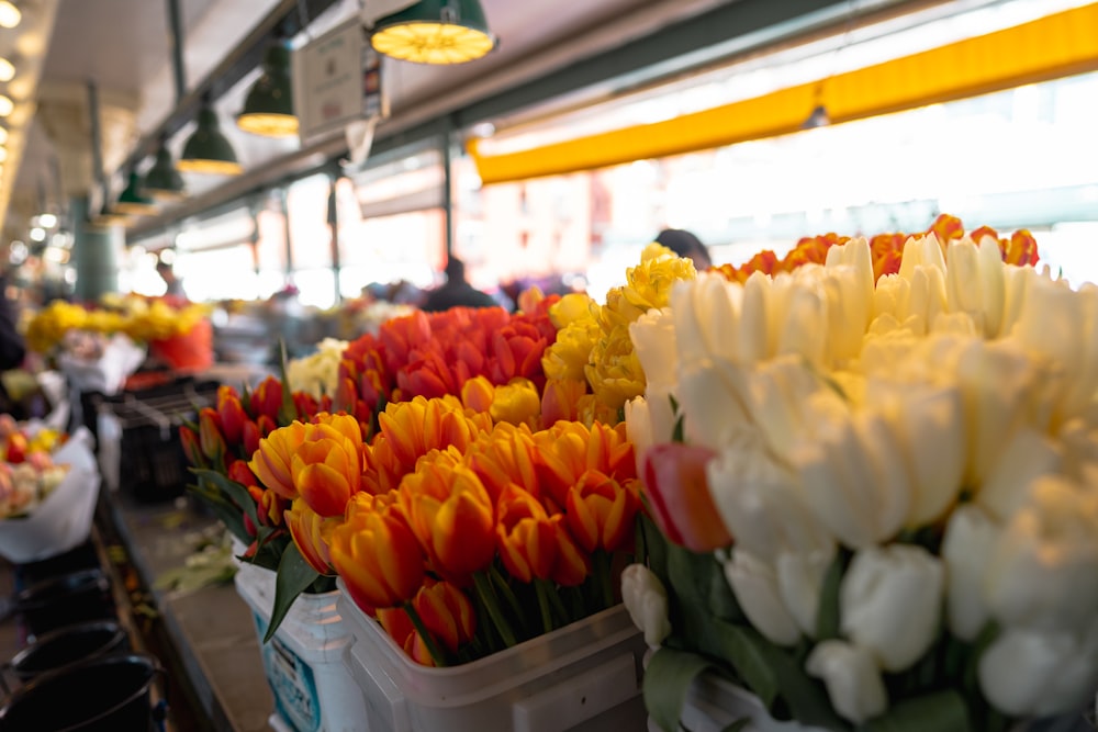 a bunch of tulips sitting on a table in a store