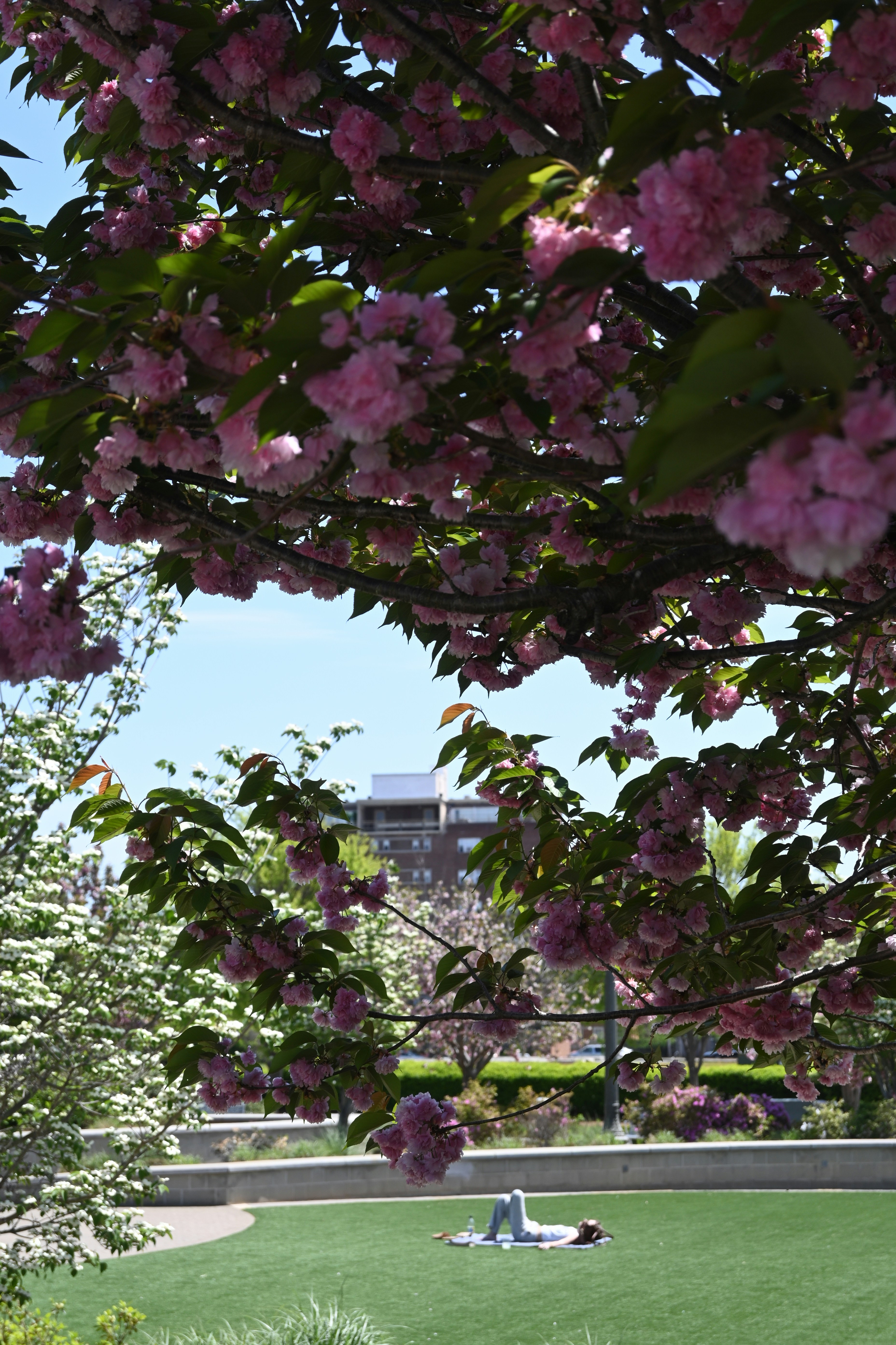 Photo by karolinabobek