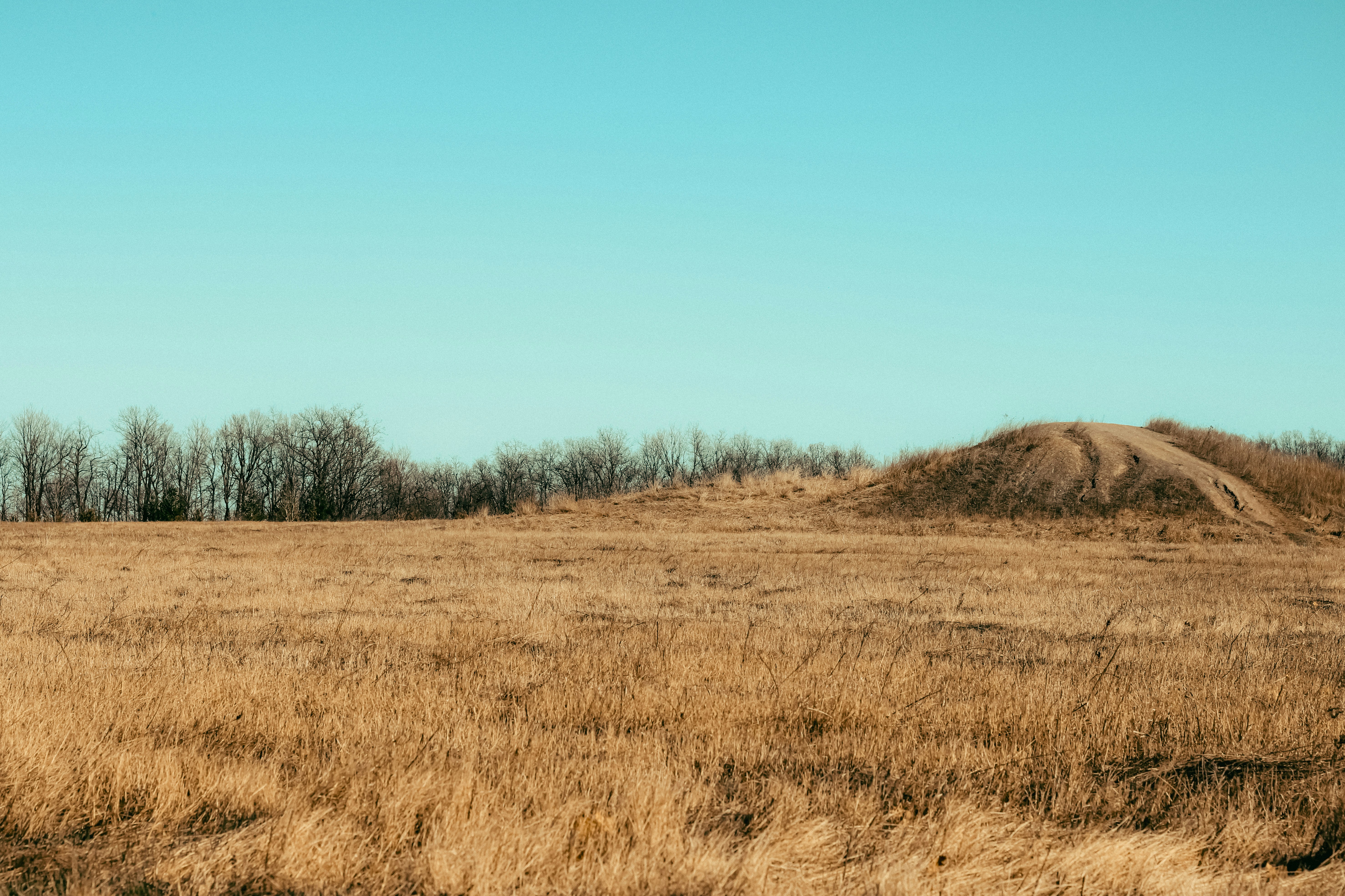 Photo by linusbelanger