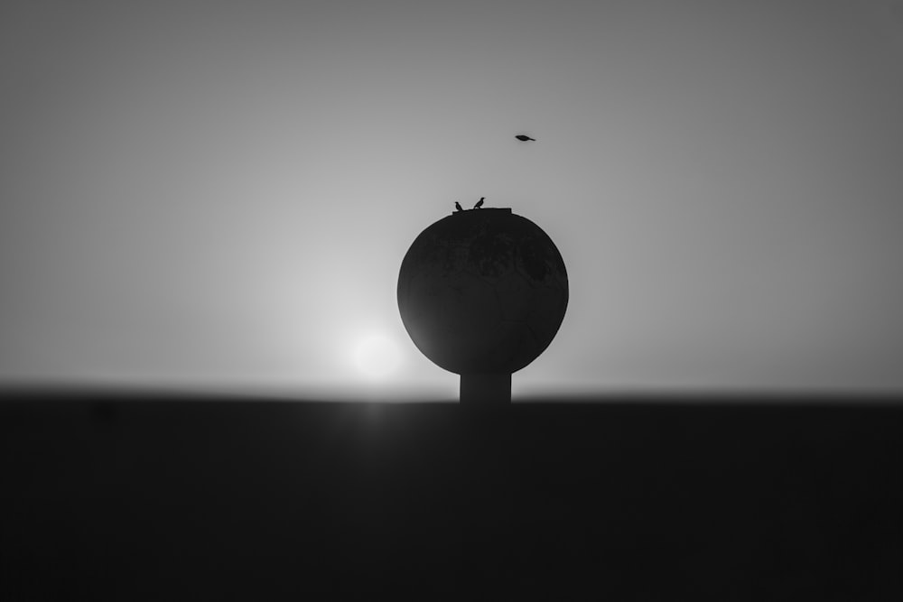 a black and white photo of a bird on top of a pole
