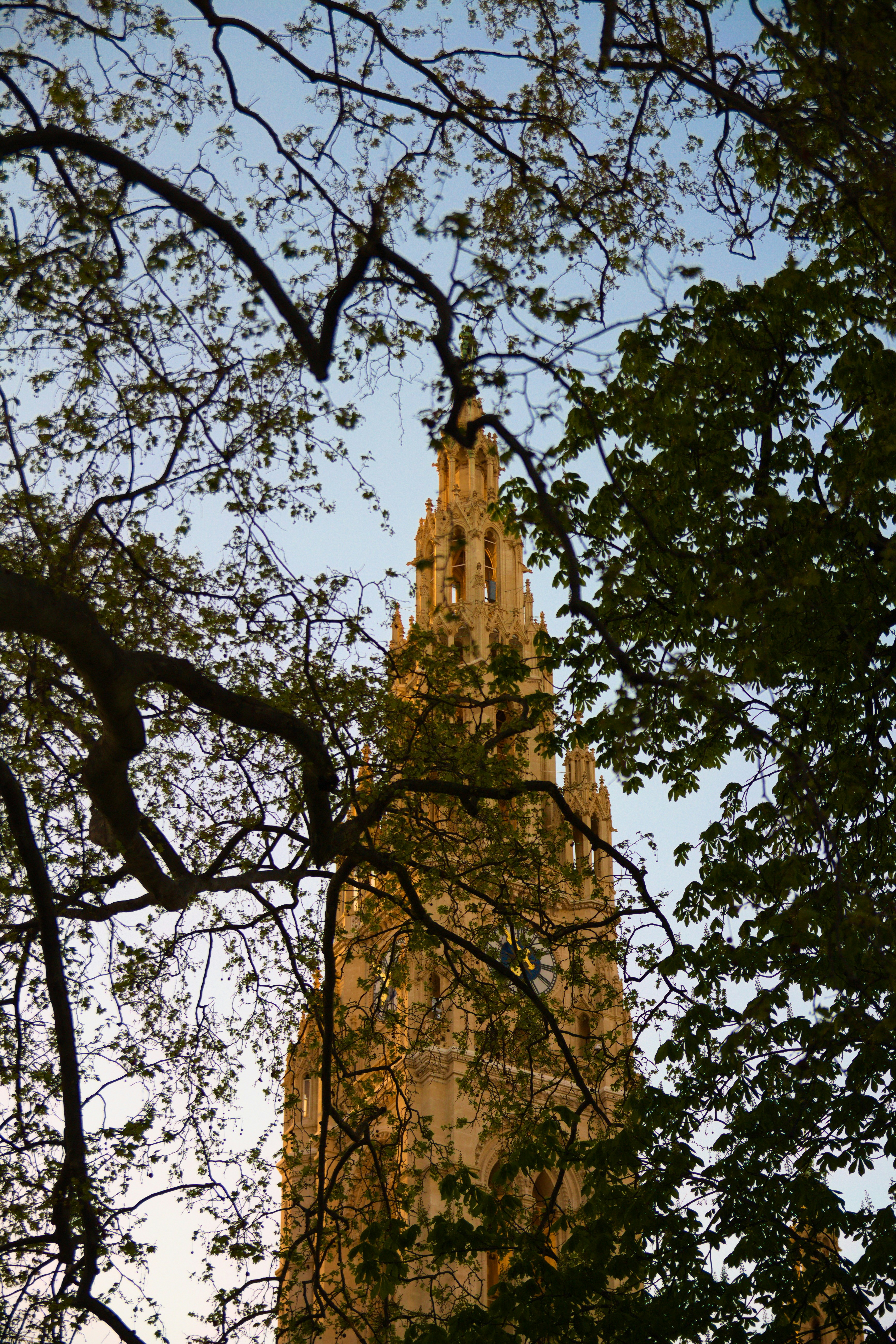 Photo by egemensahiin