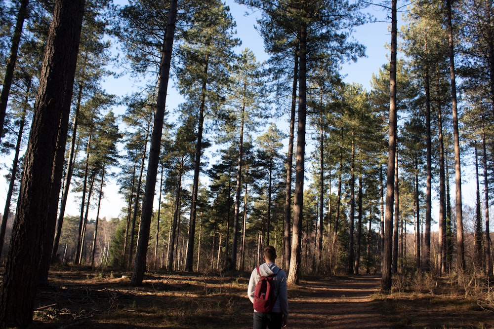 a man standing in the middle of a forest