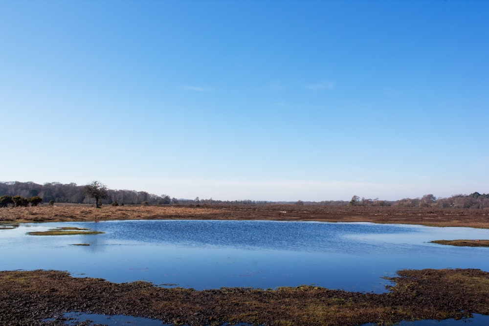 a large body of water surrounded by land