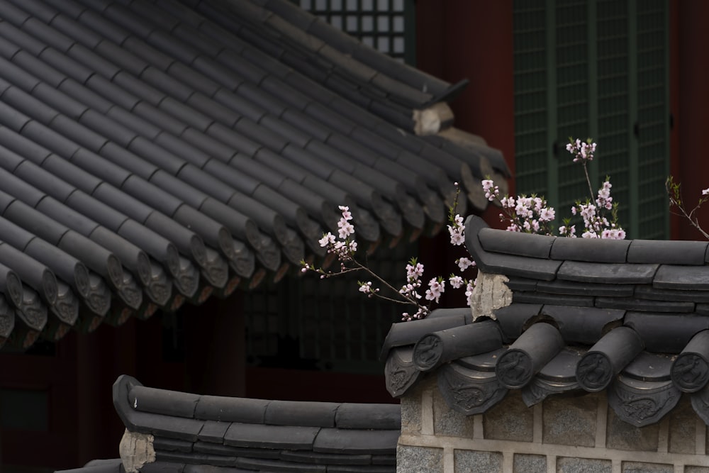 a building with a flower pot on top of it