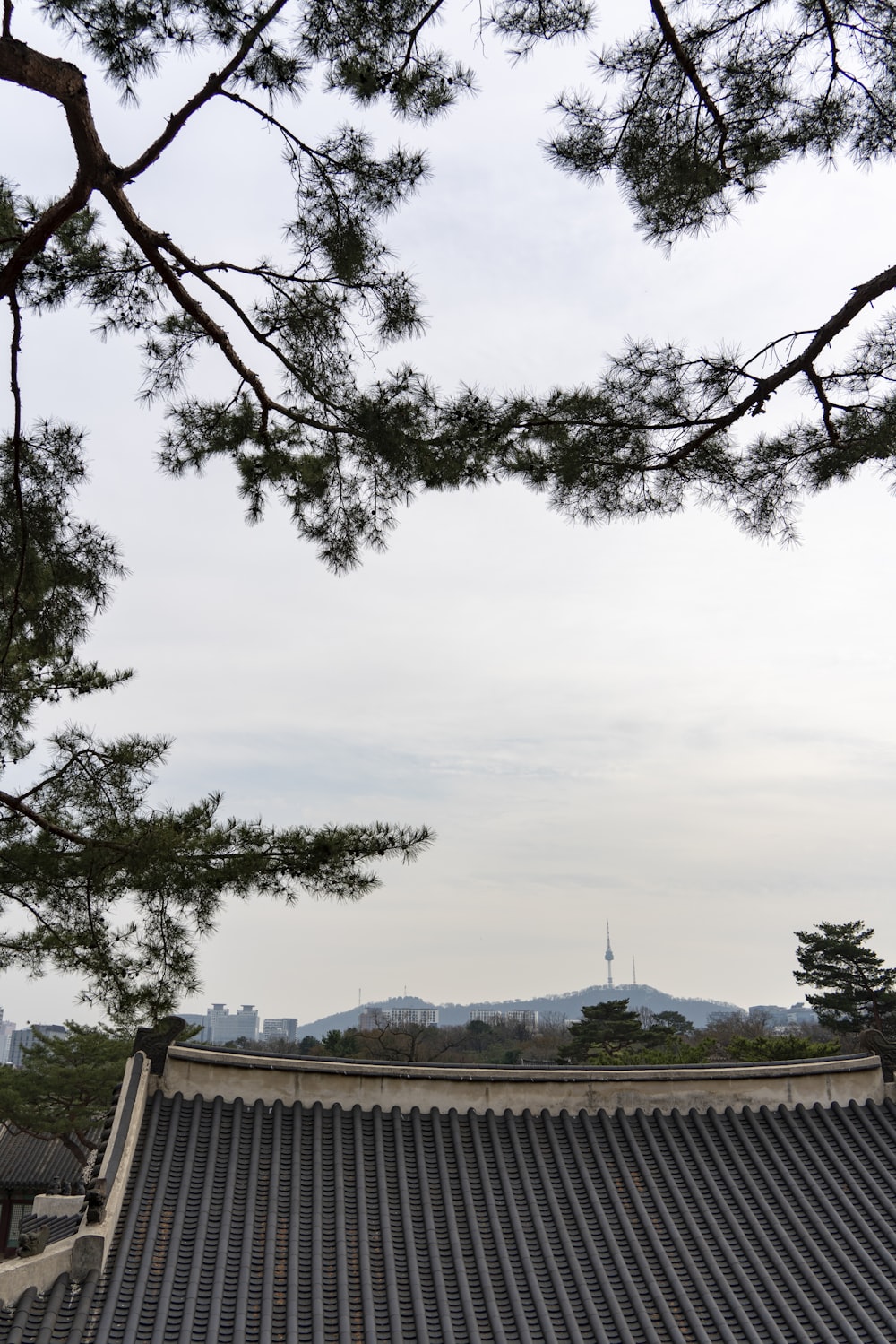 a view of a building with a tree in the foreground