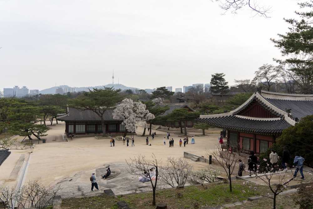 a group of people walking around a park