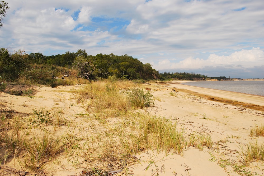 a sandy beach next to a body of water