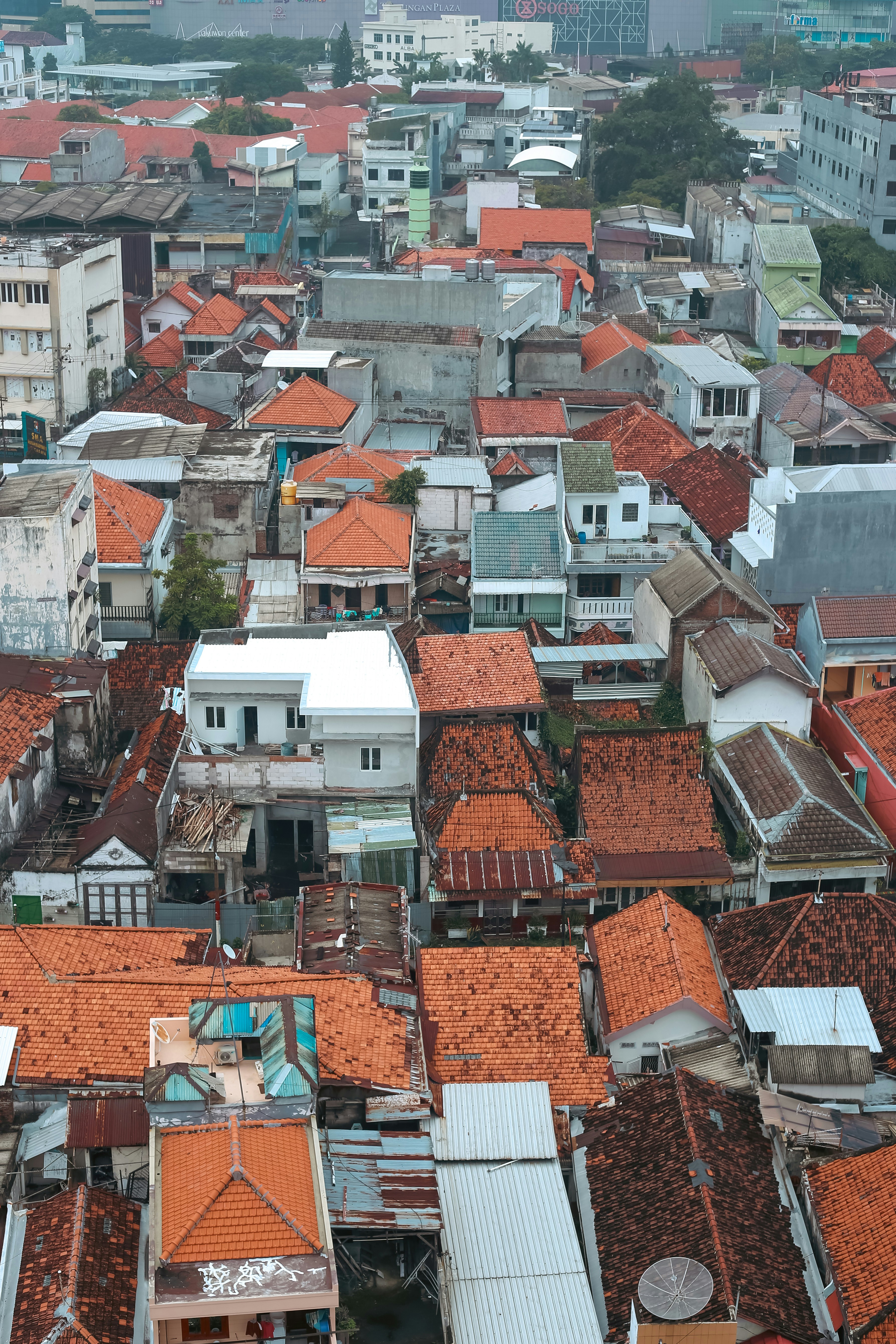 Photo by dulzmuhammad