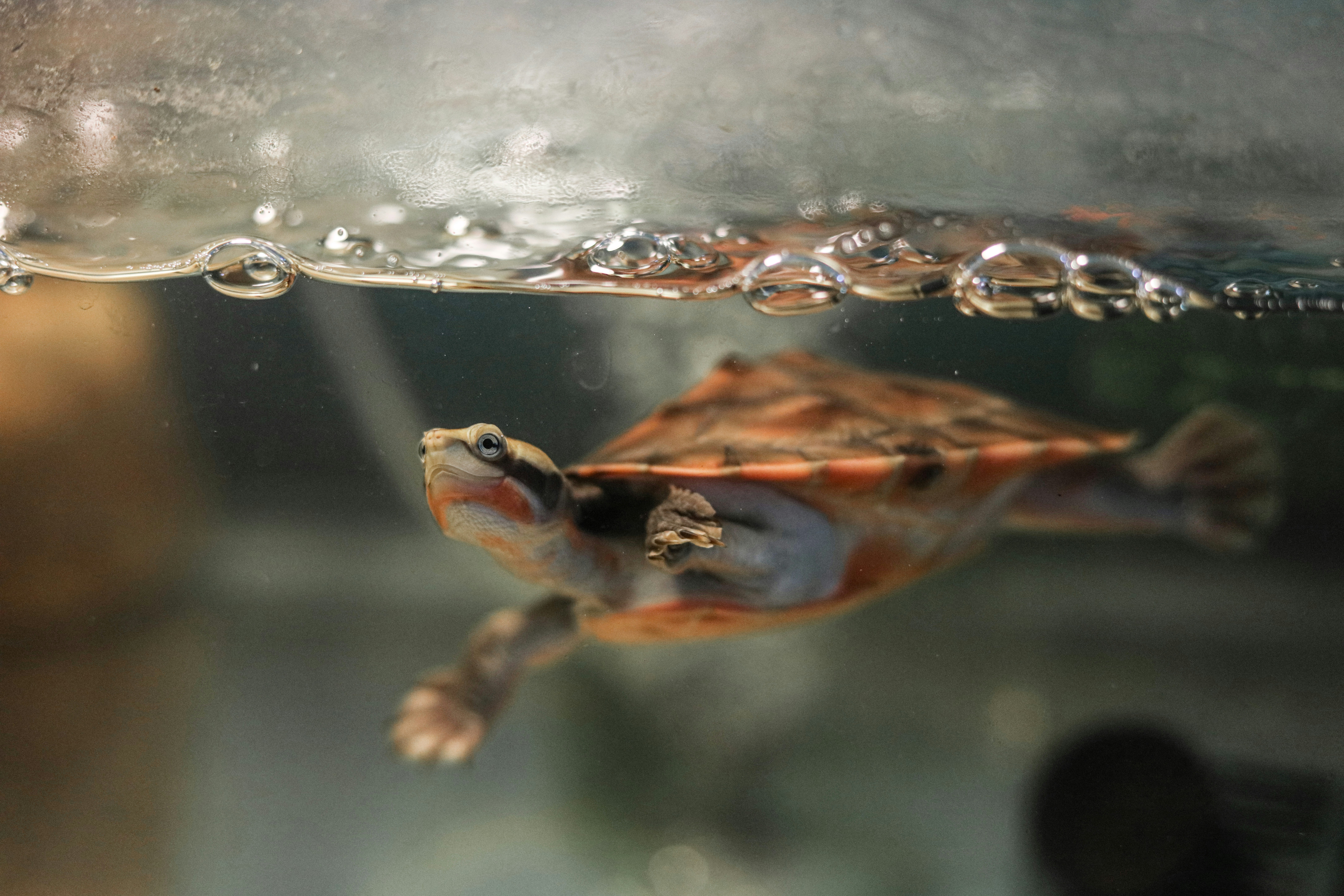 Photo by ashleyinthestars