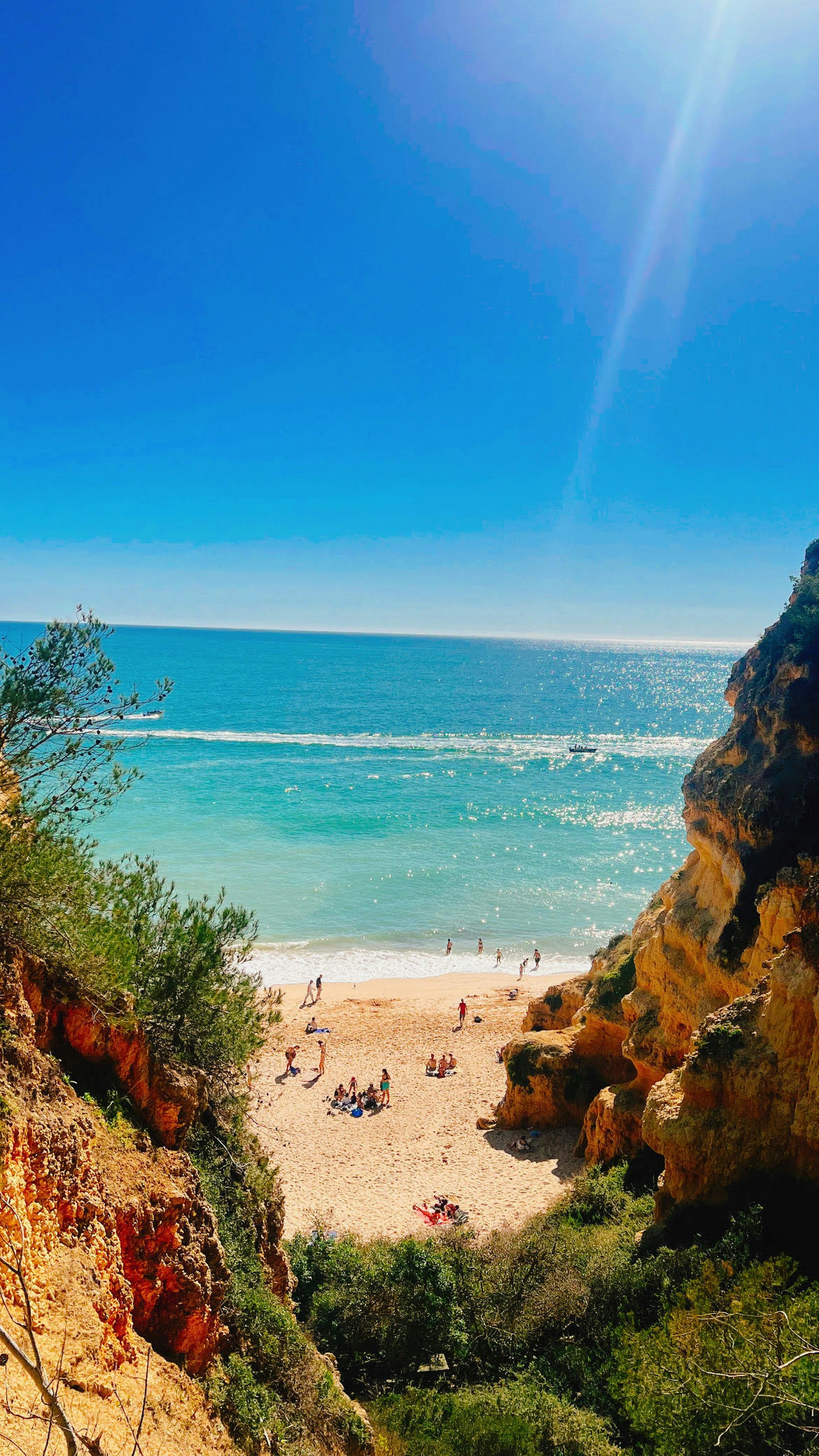 Faro